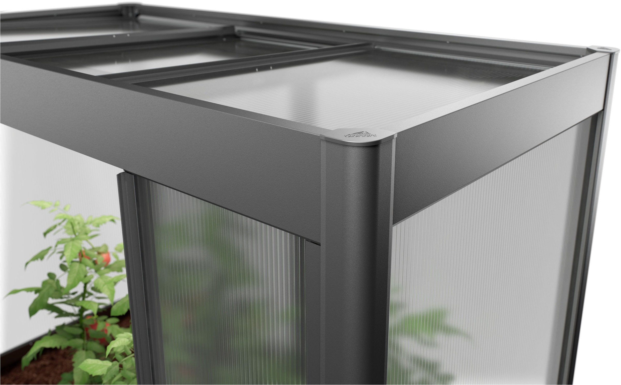 Biohort Gewächshaus »Florentina Gr. 2x1 MAXI, verschiedene Farben« Kompaktes Gewächshaus für hochwachsende Pflanzen