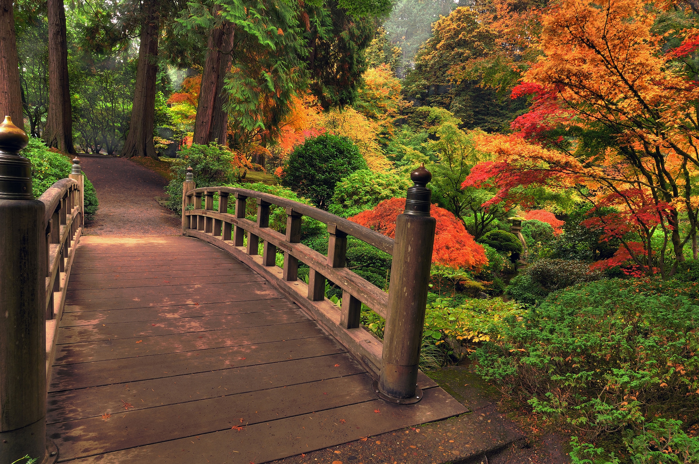 Papermoon Fototapetas »Autumn Bridge«