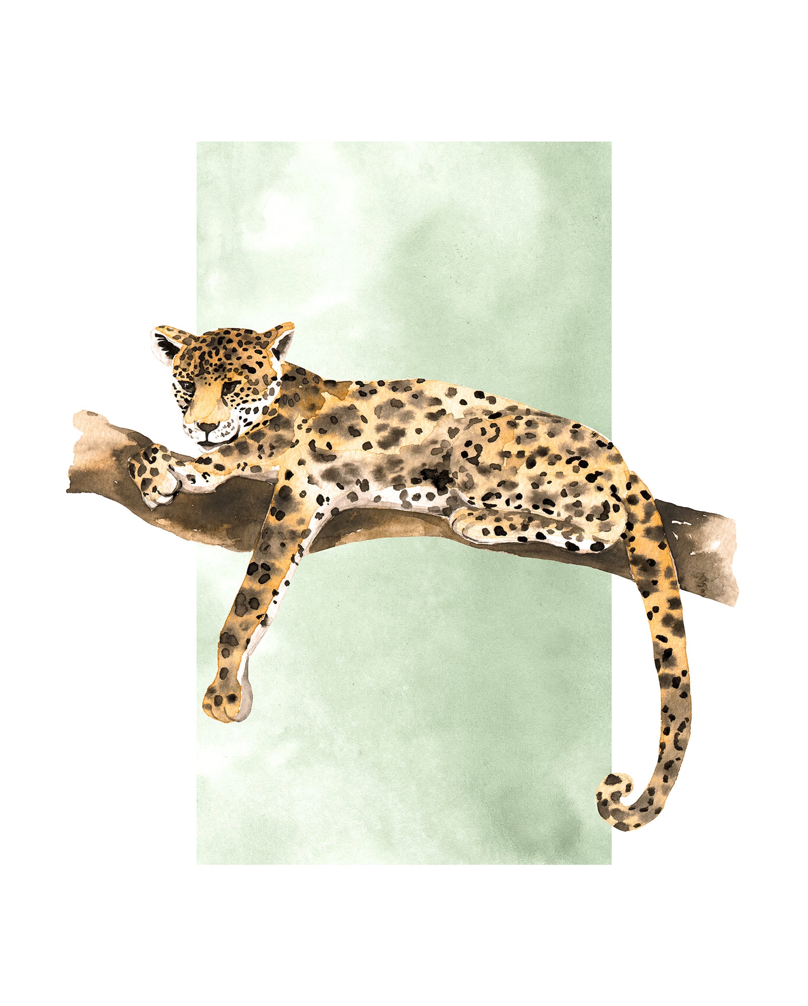 Komar Bild "Lazy Leopard" Natur 1 Stk. tlg. Wandbild zur Dekoration - ohne günstig online kaufen