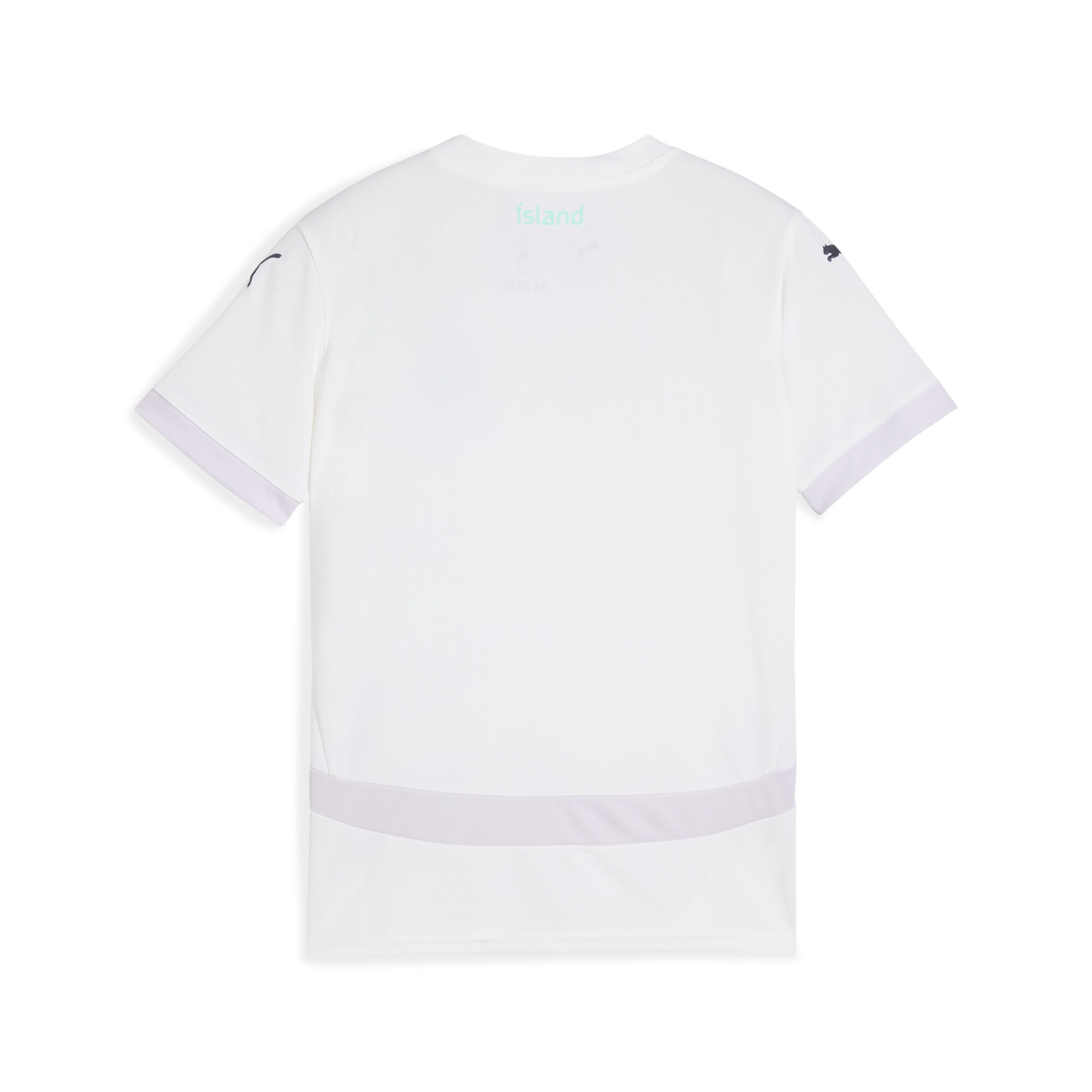 PUMA Trainingsshirt »Island Team 2025 Auswärtstrikot Jugendliche«