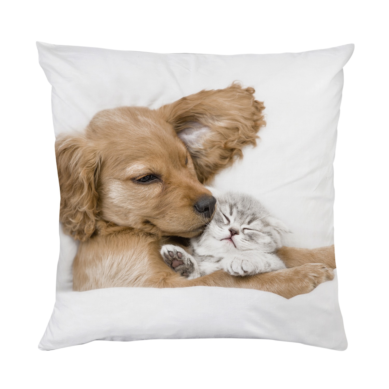 queence Dekokissen »Welpe mit Katze«, Kissenhülle mit HD Premium Druck, geruchsneutral, 40x40cm