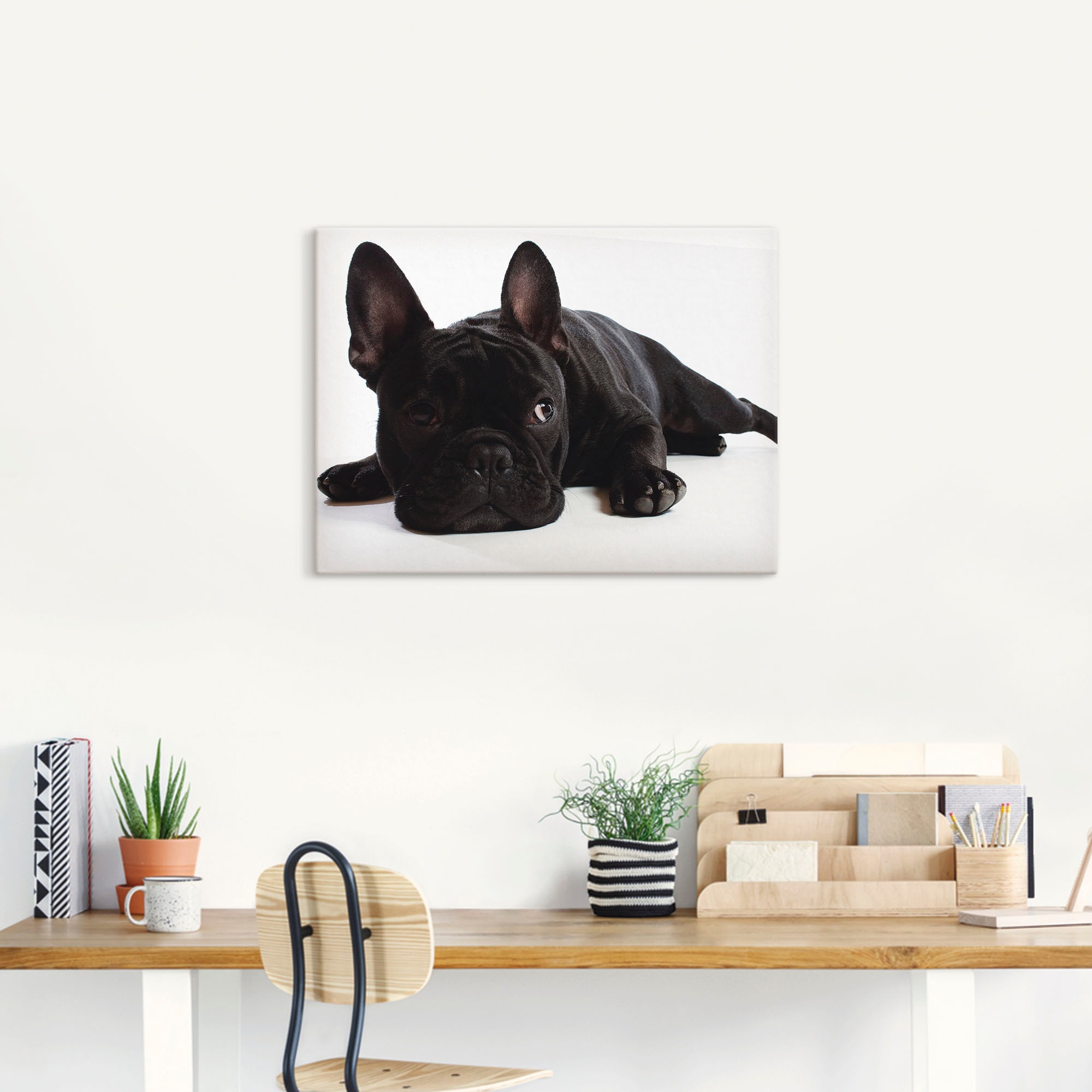 Artland Wandbild »Bulldogge«, Haustiere, (1 St.), als Alubild, Outdoorbild, Leinwandbild, Wandaufkleber, versch. Größen
