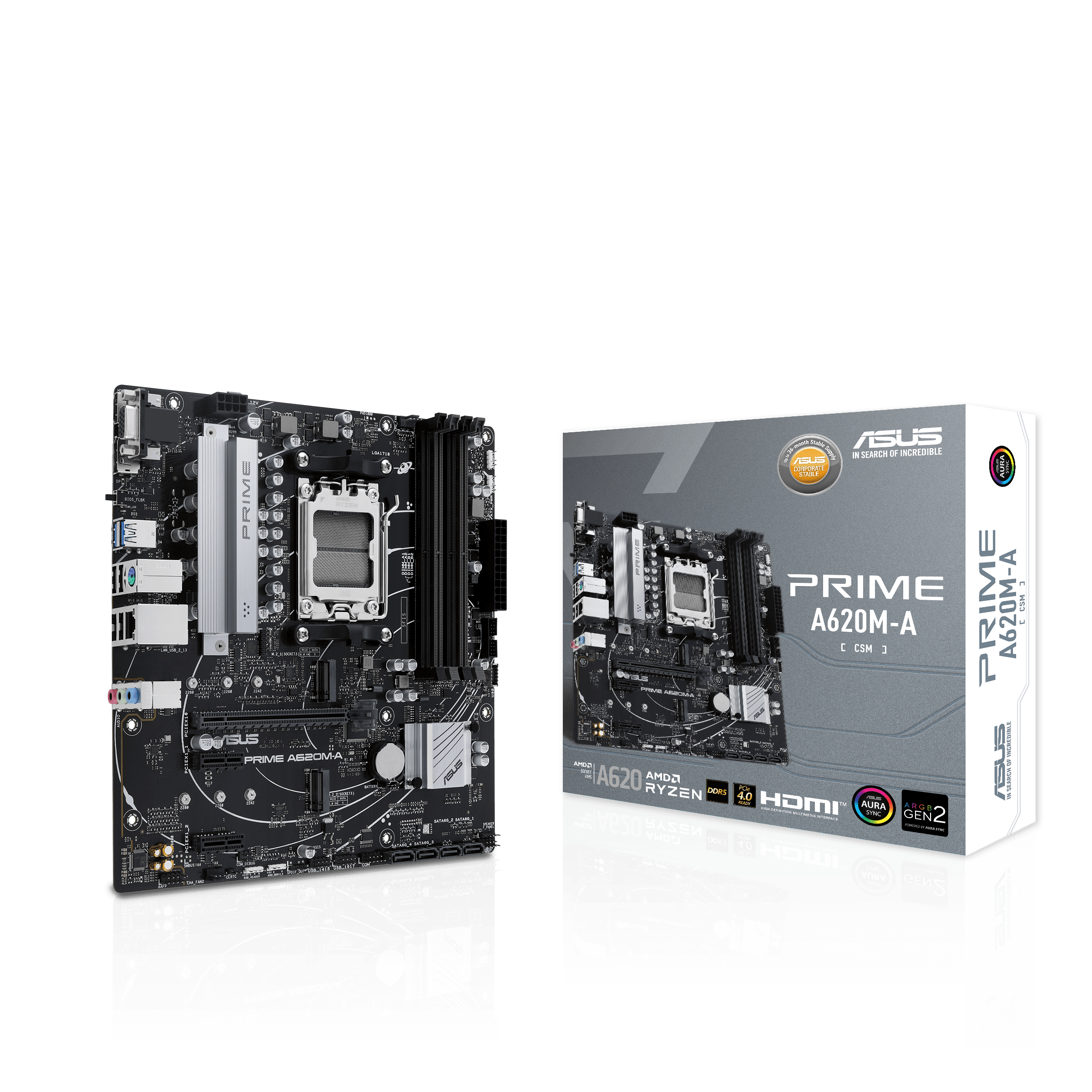 Asus Mainboard »PRIME A620M-A-CSM«