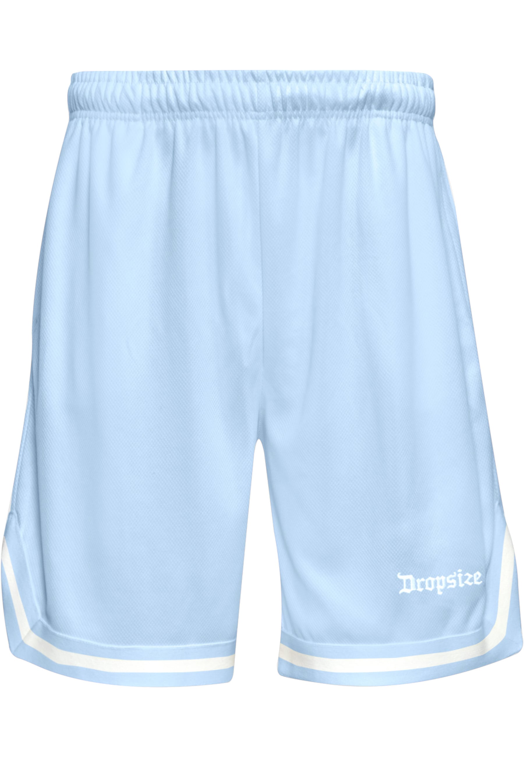 Dropsize "Dropsize Herren Dropsize Logo Mesh Shorts"