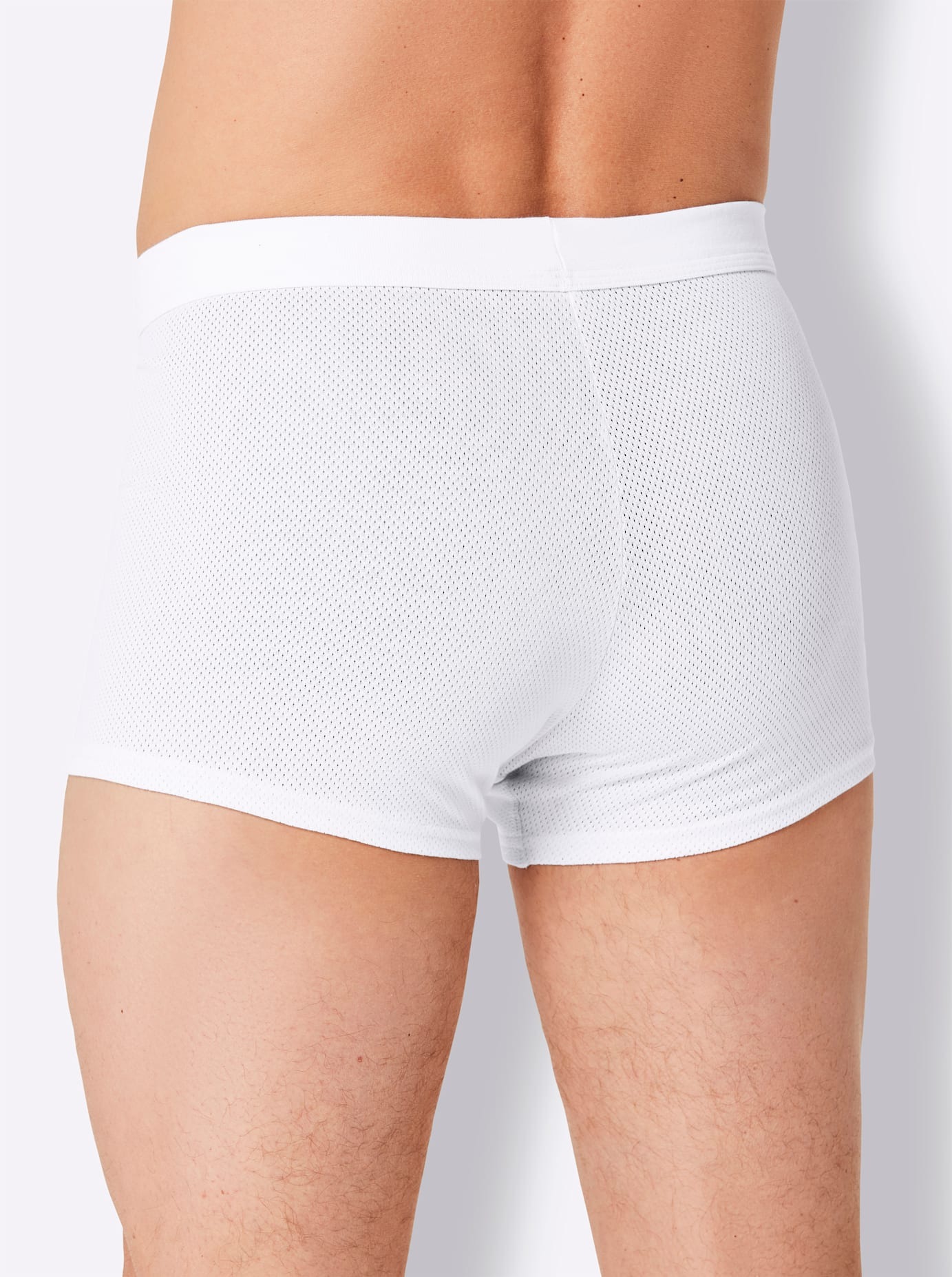 wäschepur Schlüpfer 3 Stk. tlg. günstig online kaufen