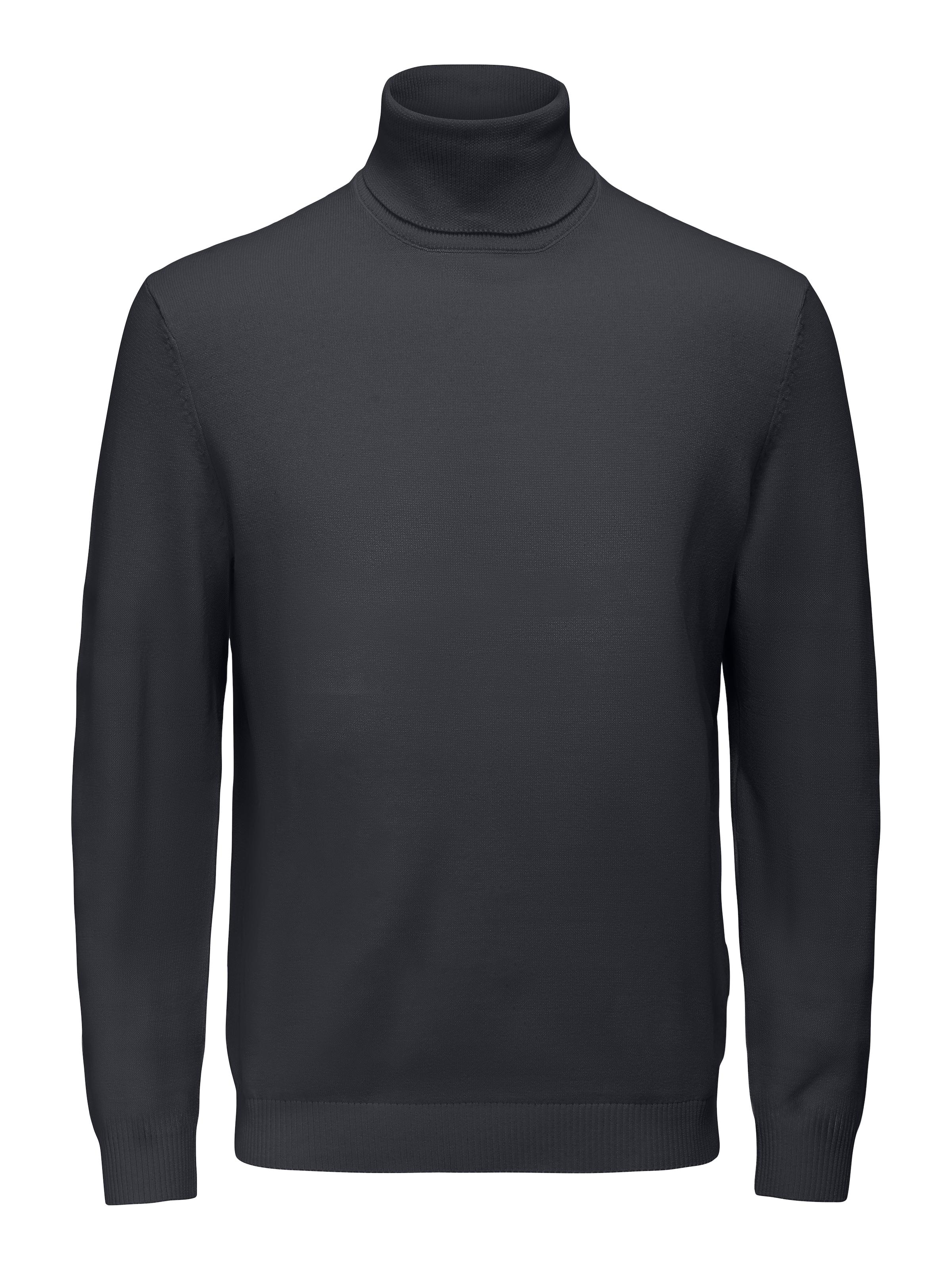 ONLY & SONS Rollkragenpullover »ONSHOLGER REG ROLL NECK KNIT - OTL«