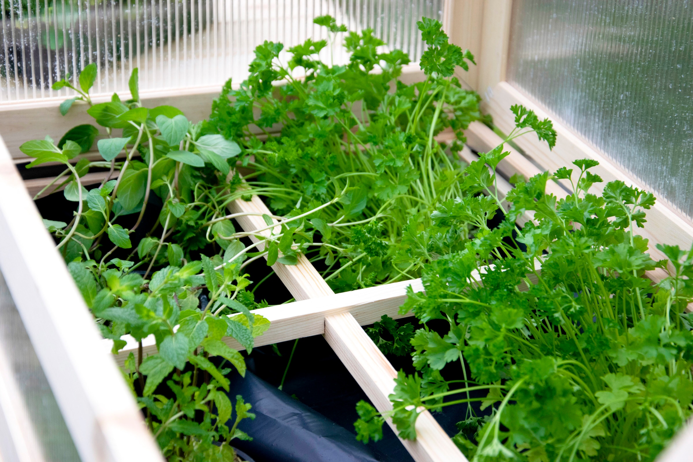 dobar Hochbeet erhöhtes Frühbeet mit Tisch & Haken, Gr. L, transparent, Kiefer