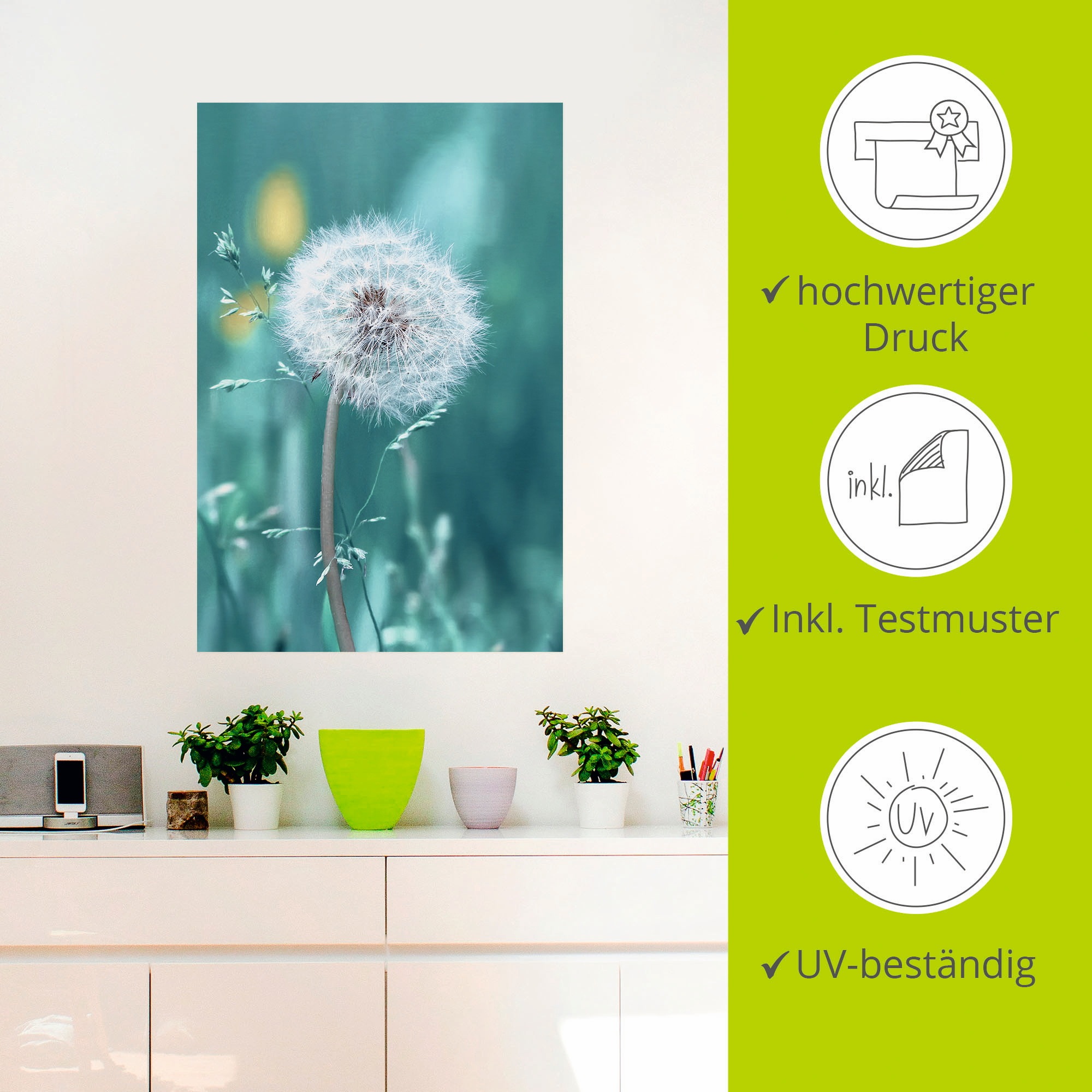 Artland Wandbild »Pusteblume«, Blumen, (1 St.), als Leinwandbild, Poster, Wandaufkleber in verschied. Größen