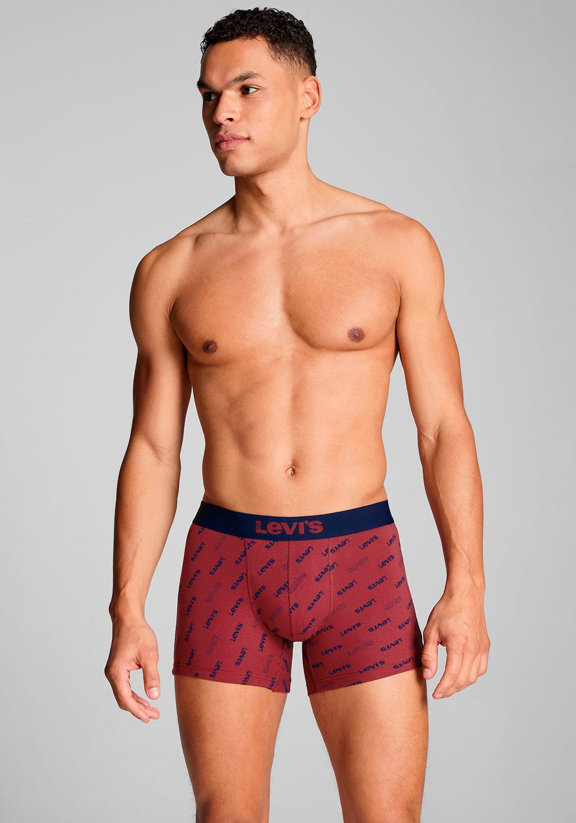 Levi's® Boxershorts »LEVIS MEN LOGO AOP BOXER BRIEF ORG CO 2P«, (2er Pack), mit stilvoller Musterung