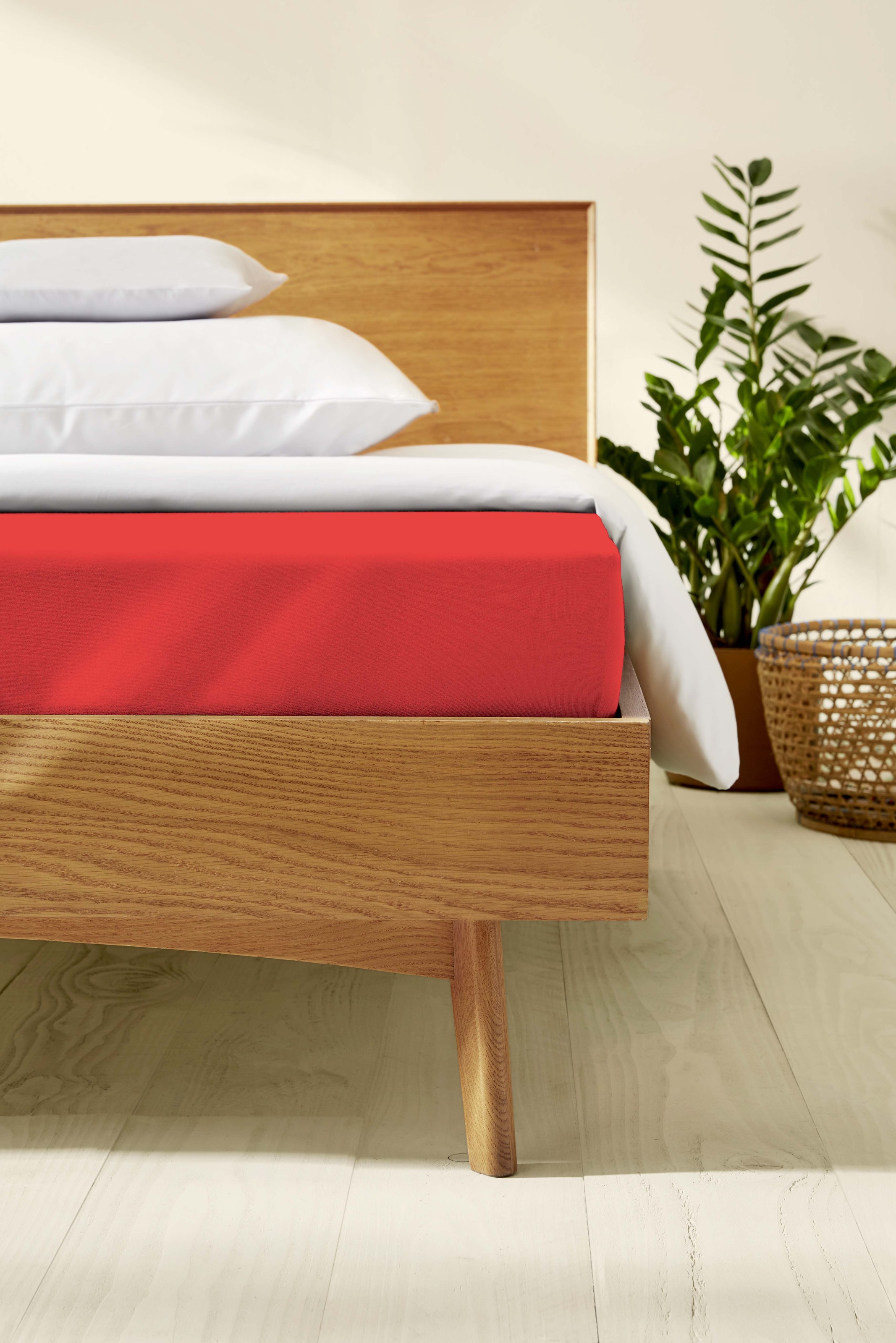 Kaeppel Spannbettlaken »Single Jersey Mako Cotton«, Bettlaken aus 100% Baumwolle