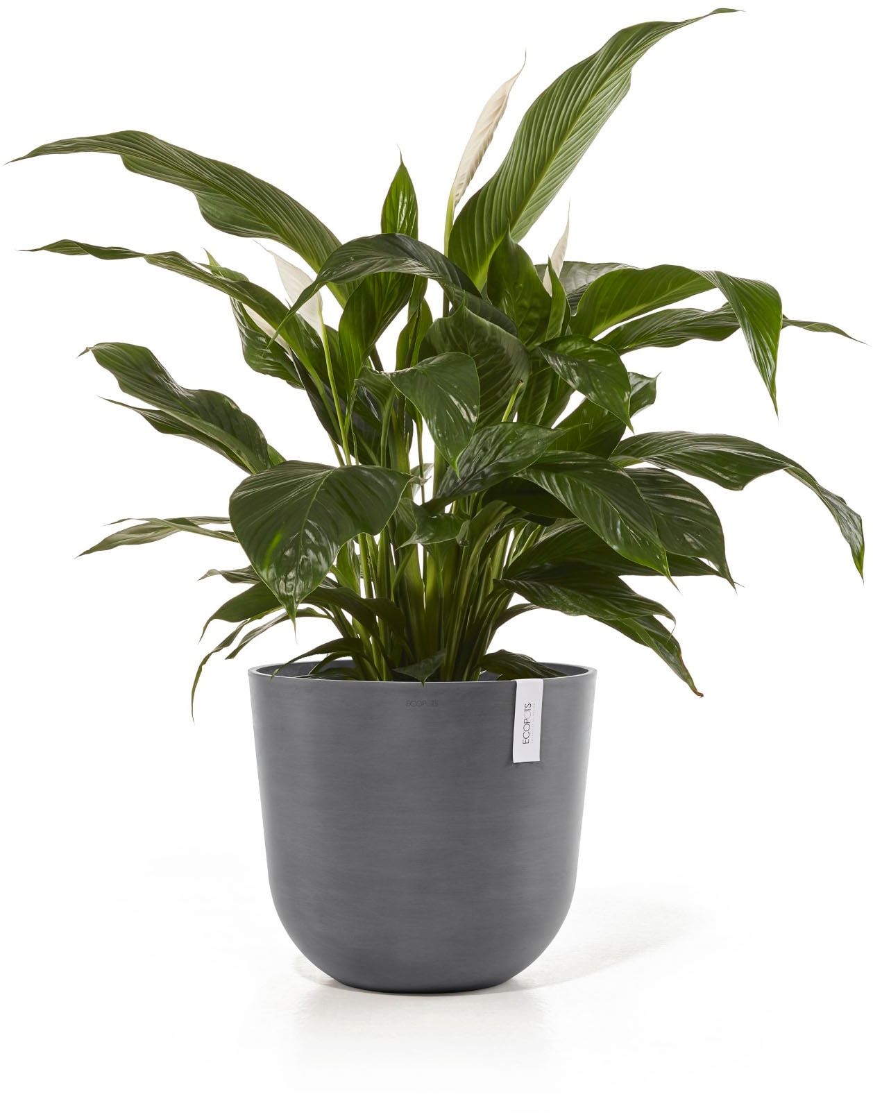 ECOPOTS Blumentopf »Oslo 45 + Wassersystem Grau« für innen und außen: frostsicher, bruchsicher und lichtbeständig