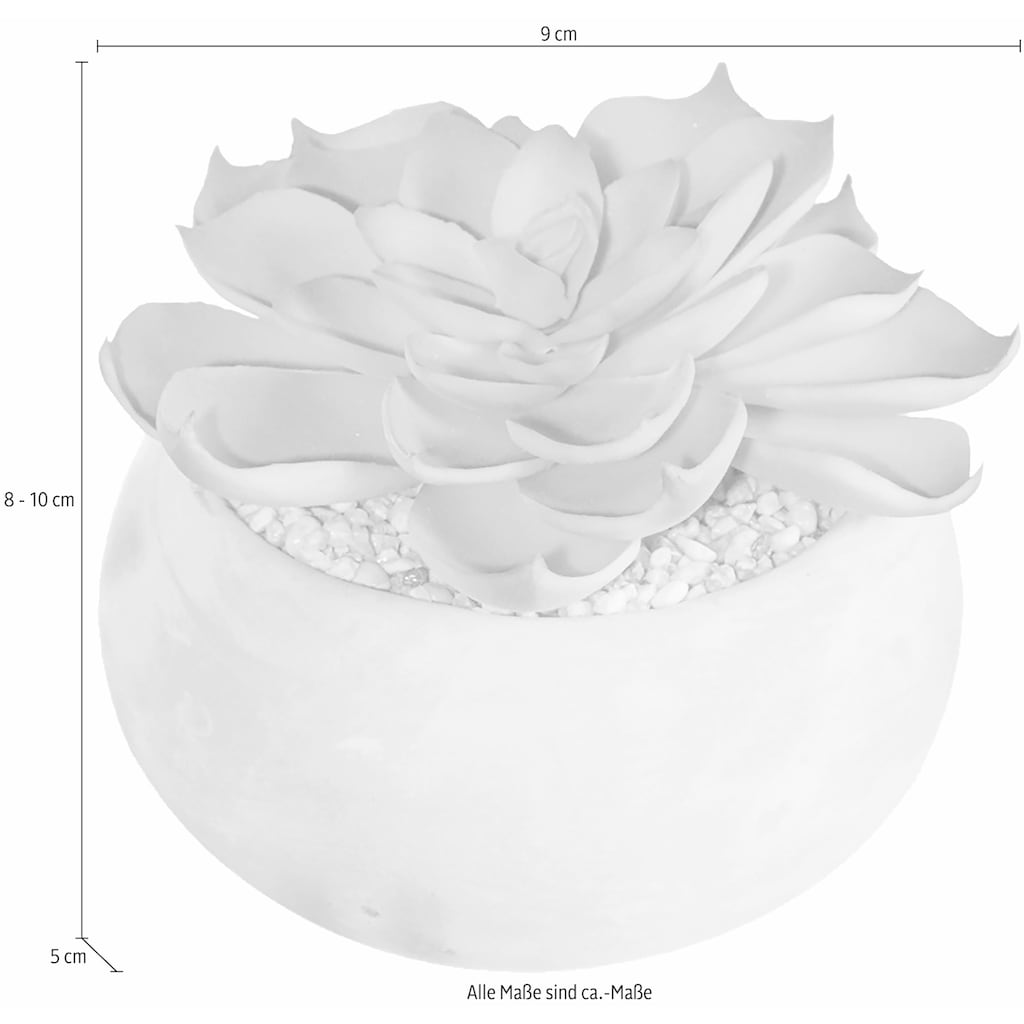 Creativ green Kunstpflanze »Sukkulenten«