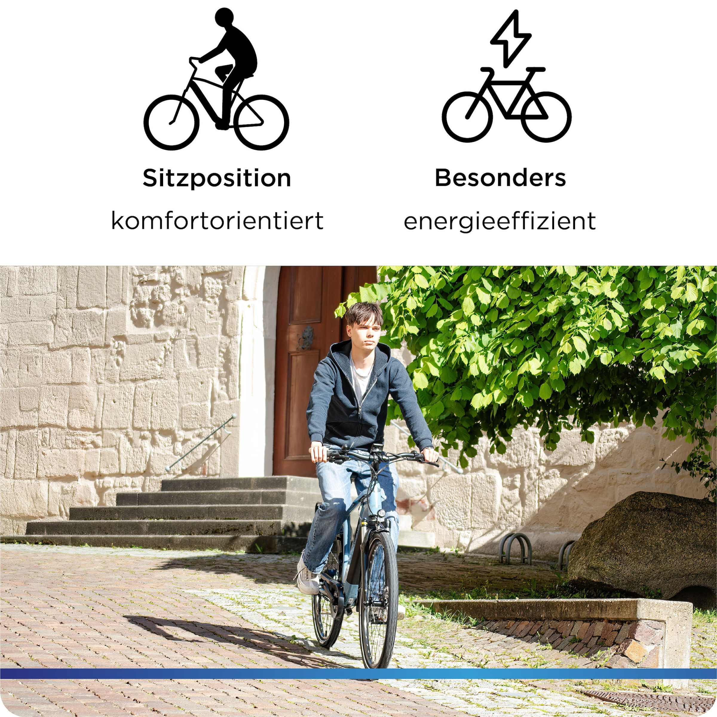 Zündapp »Z810« 8 Gang Shimano Altus RD-M310 Schaltwerk Kettenschaltung Heckmotor 250 W Pedelec, Elektrofahrrad für Damen und Herren