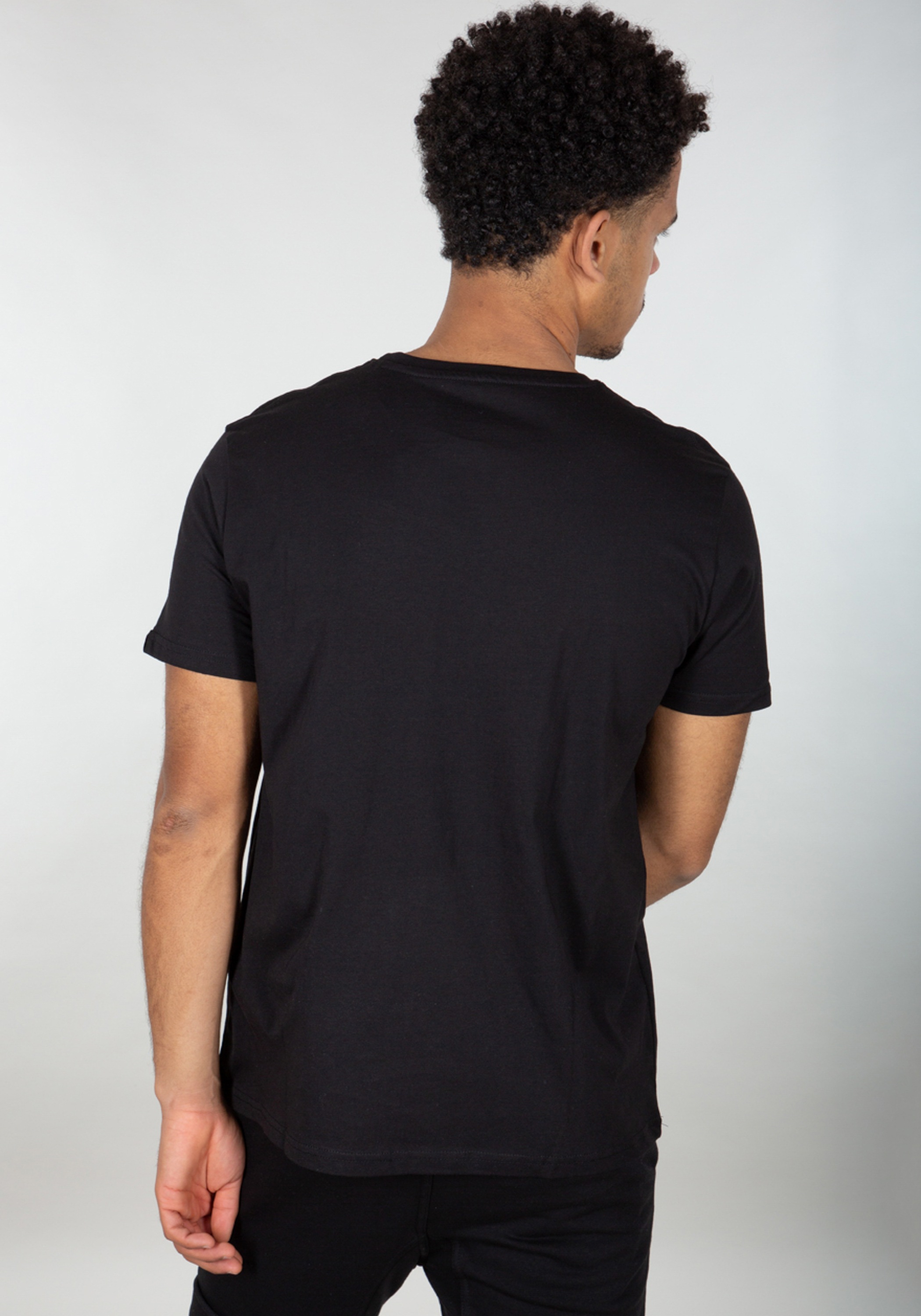 Alpha Industries T-Shirt »Basic T-Shirt BL Rainbow Ref.«