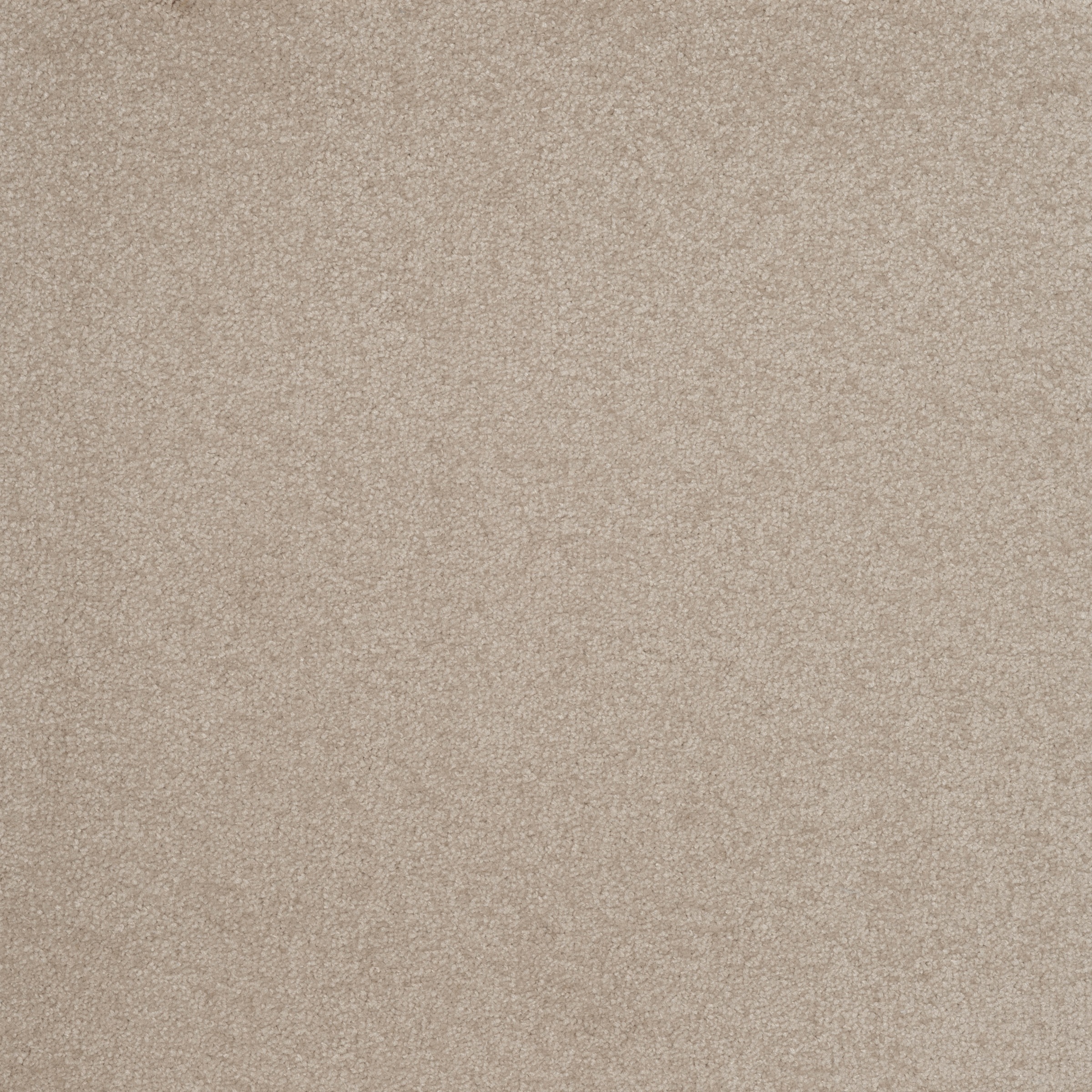 my home Teppichfliese "Capri", quadratisch, selbstliegend, 4 oder 20 Stück, 50 x 50cm, Fliese, Bodenbelag