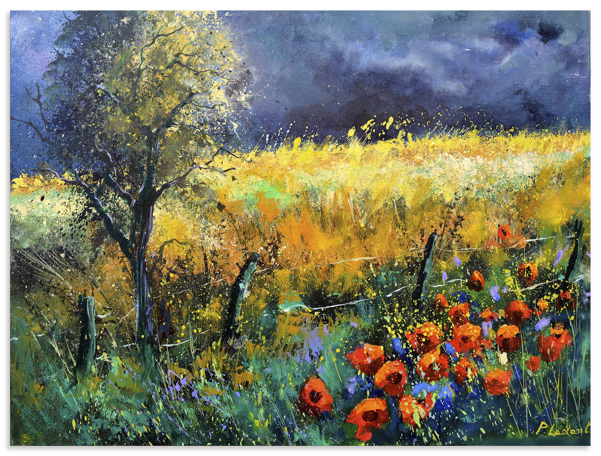 Artland "Red poppies" Wiesen & Baumbilder 1 Stk. tlg. als Alubild, Leinwandbild, Poster, Wandaufkleber in verschied. Größen