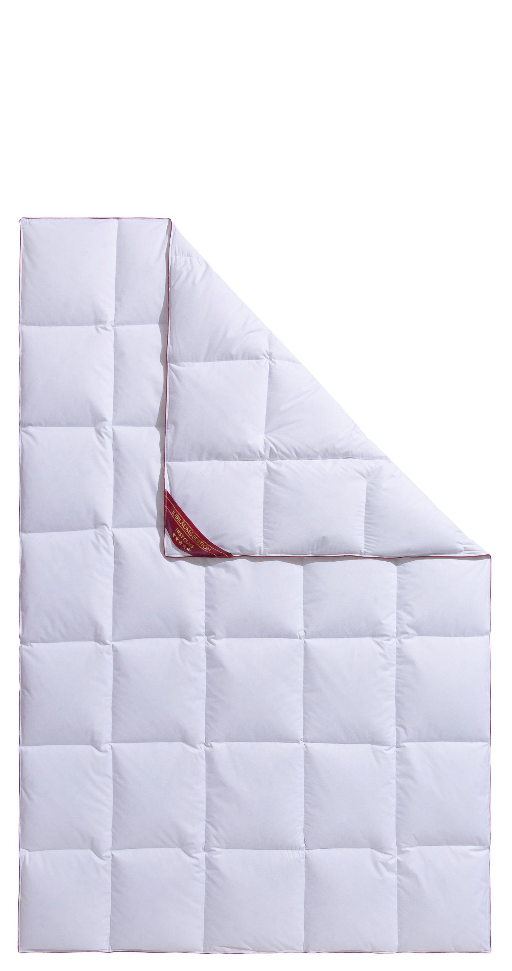 Hanse by RIBECO Daunenbettdecke "Jule" normal Füllung 90Daunen10Federn 1 St günstig online kaufen