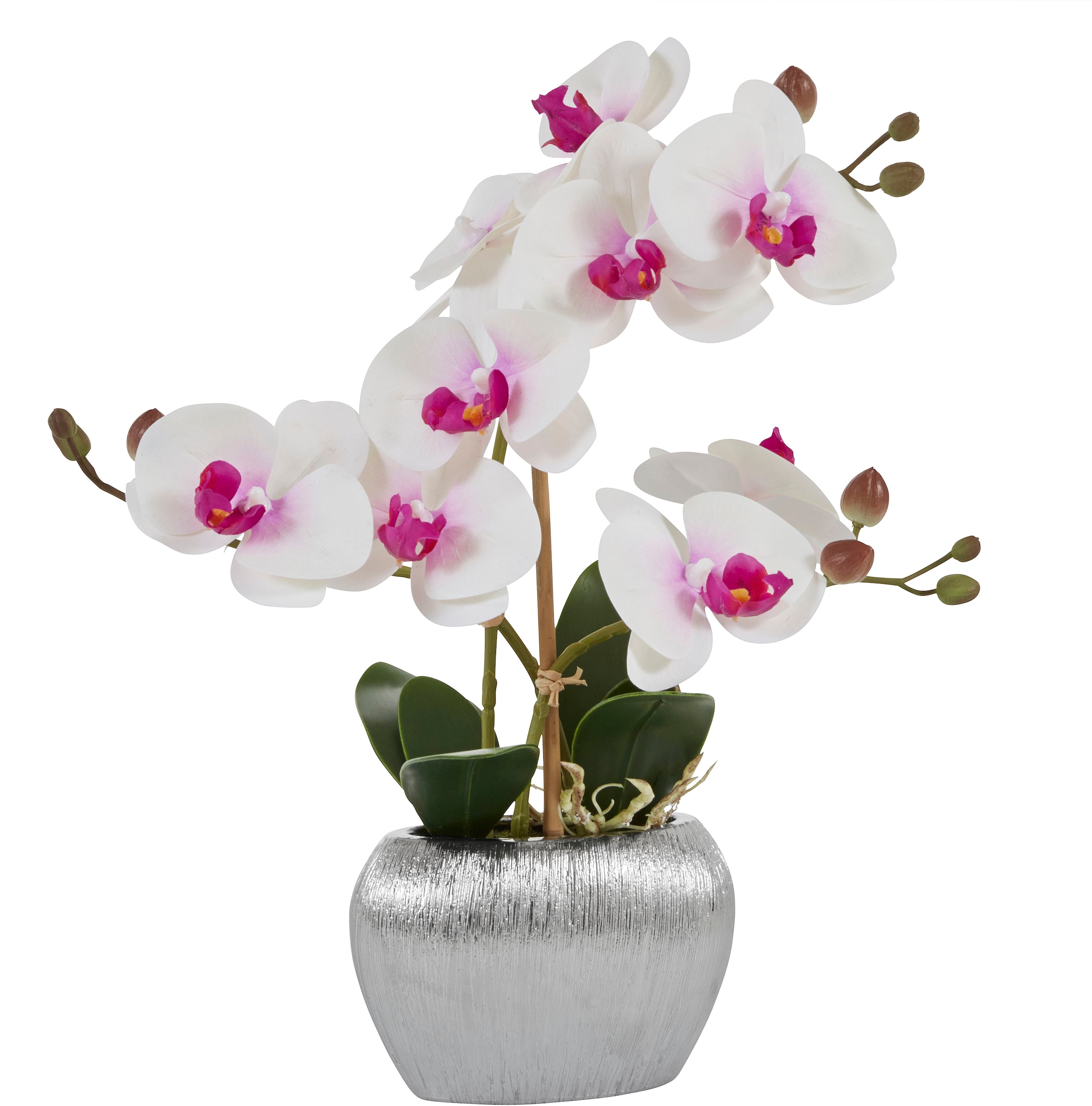 Home affaire Kunstpflanze »Orchidee« Kunstorchidee ...