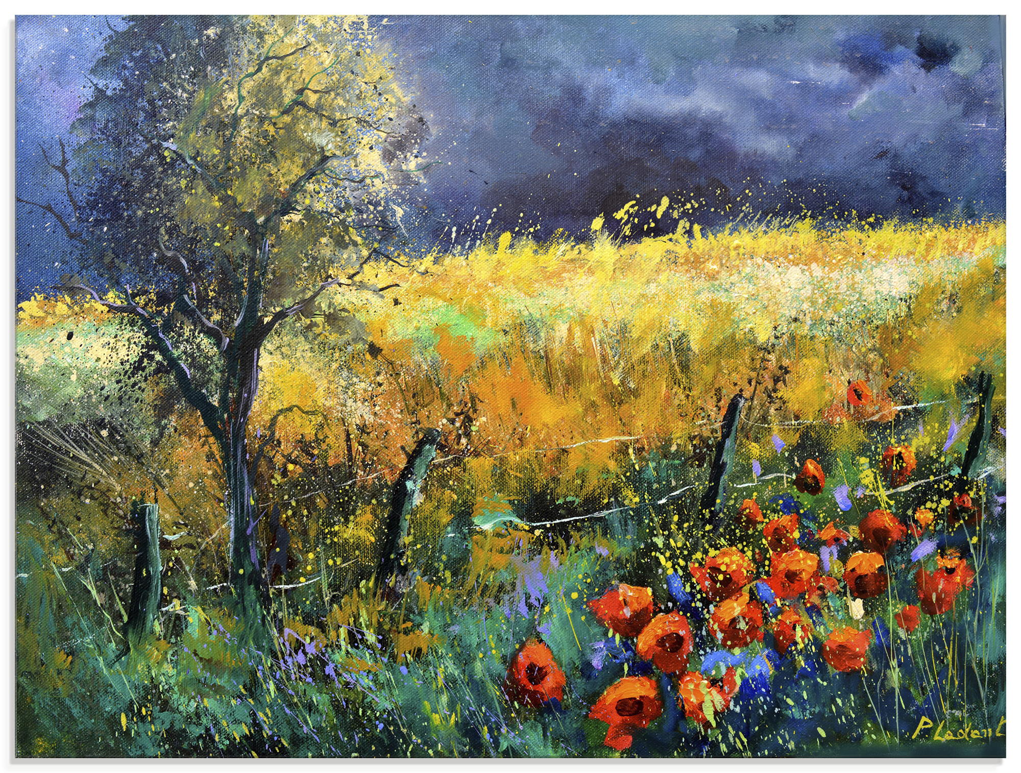 Artland "Red poppies" Wiesen & Baumbilder 1 Stk. tlg. als Alubild, Leinwandbild, Poster, Wandaufkleber in verschied. Größen