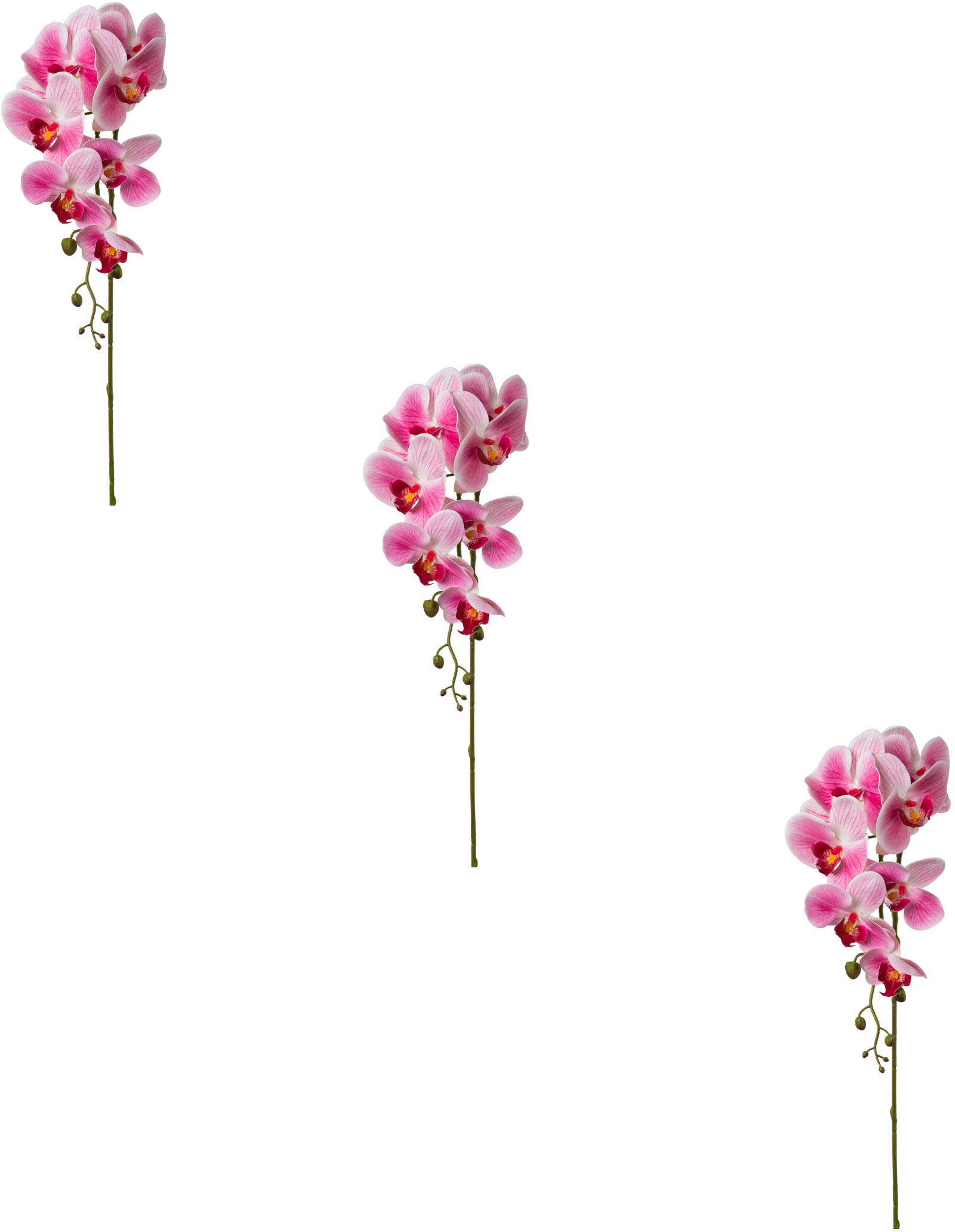 Kunstblume »Orchidee Phalaenopsis«