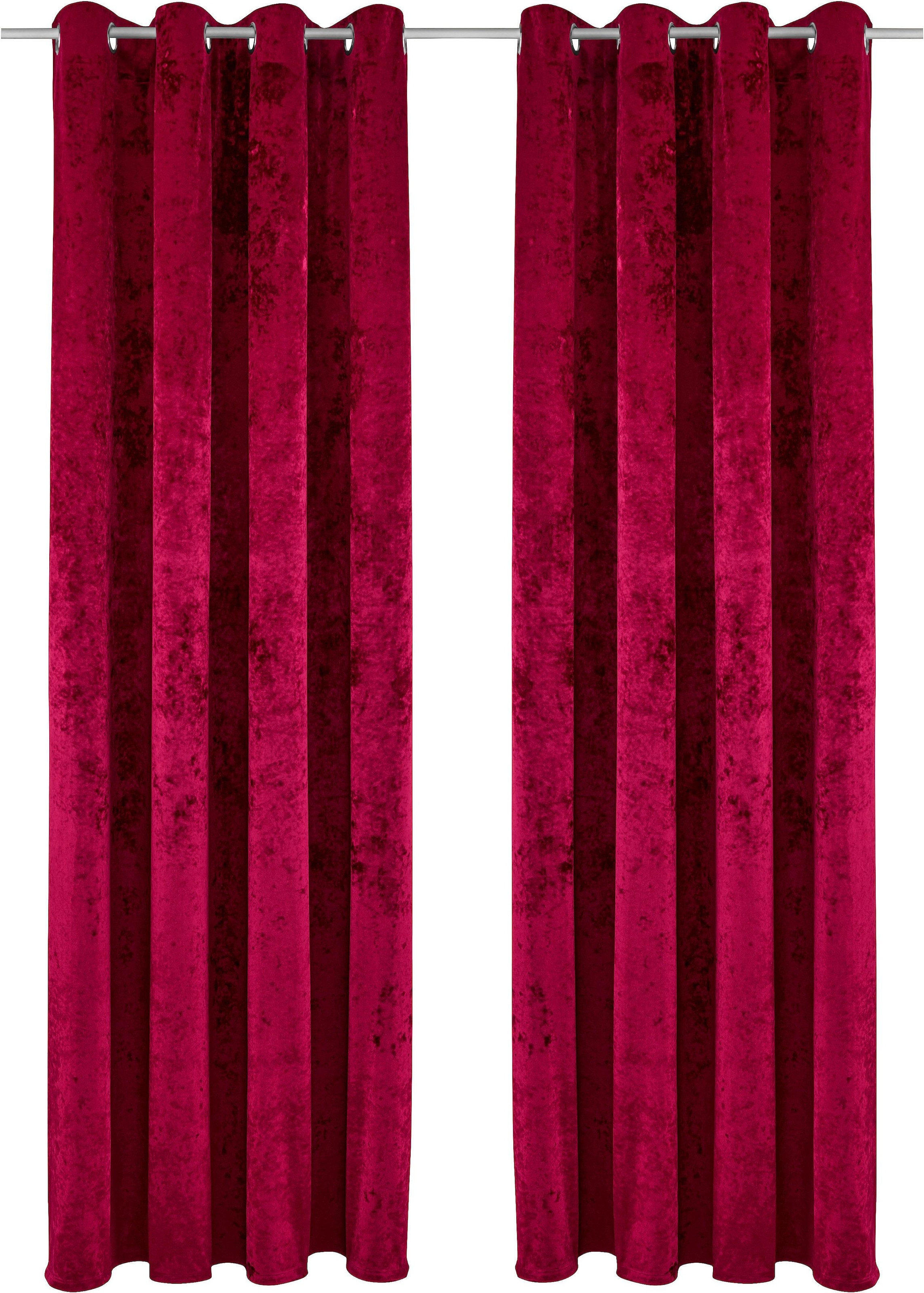 Vorhang »Velvet«, (1 St.), Samt Uni