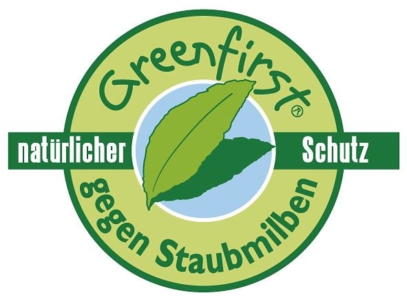 f.a.n. Schlafkomfort Microfaserbettdecke + Kunstfaserkissen »Greenfirst«, (Spar-Set)