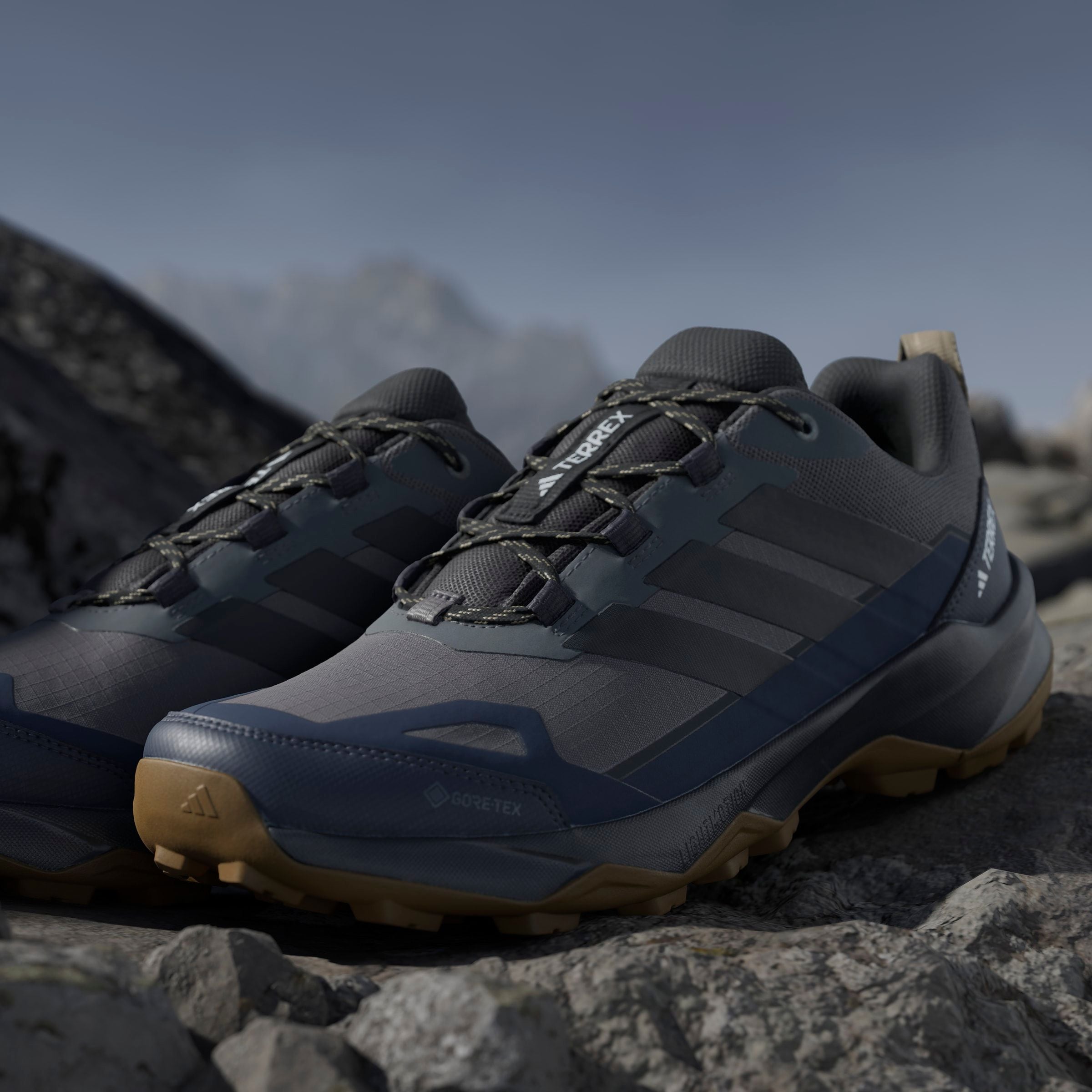 adidas TERREX Wanderschuh »TERREX SKYCHASER AX5 GORE-TEX«, wasserdicht
