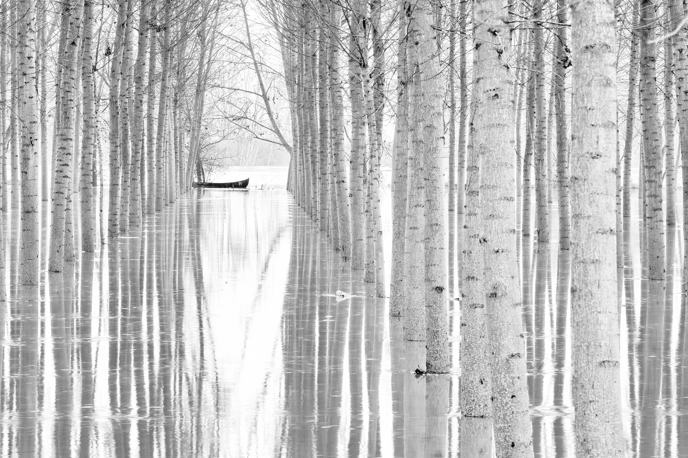 Papermoon Fototapete "Photo-Art AGLIONI SIMONE, BEWEGUNGSFREIHEIT"