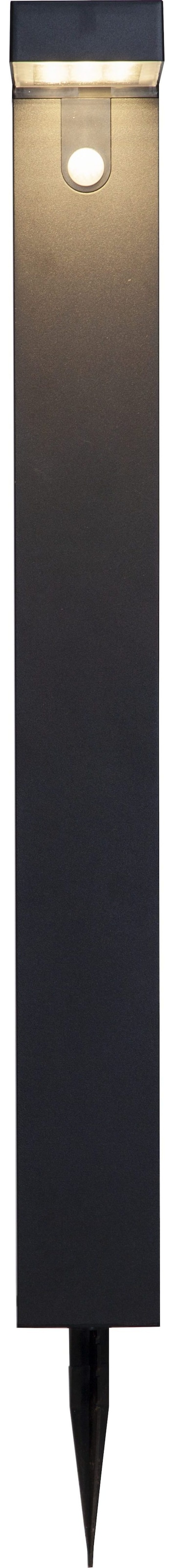 Parforce Traditional Hunting LED Solarleuchte »Solar-Wegleuchte Vici« LED-Board 1 Stk. Warmweiß Bewegungs- und Dämmerungssensor, 300 lm für 25 Sekunden, stetig 30 lm
