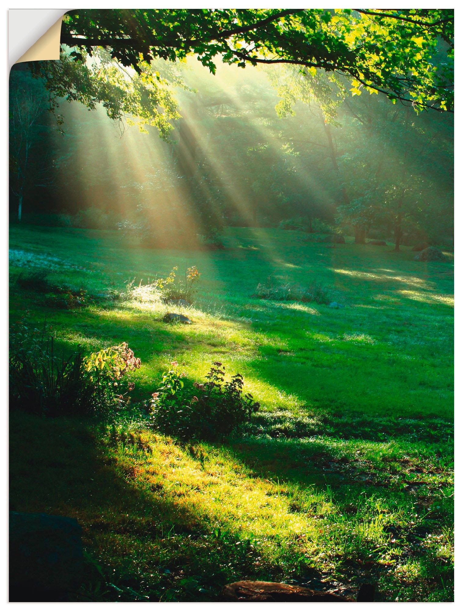 Artland Wandbild "Lichtkegel", Wald, (1 St.), als Alubild, Outdoorbild, Lei günstig online kaufen