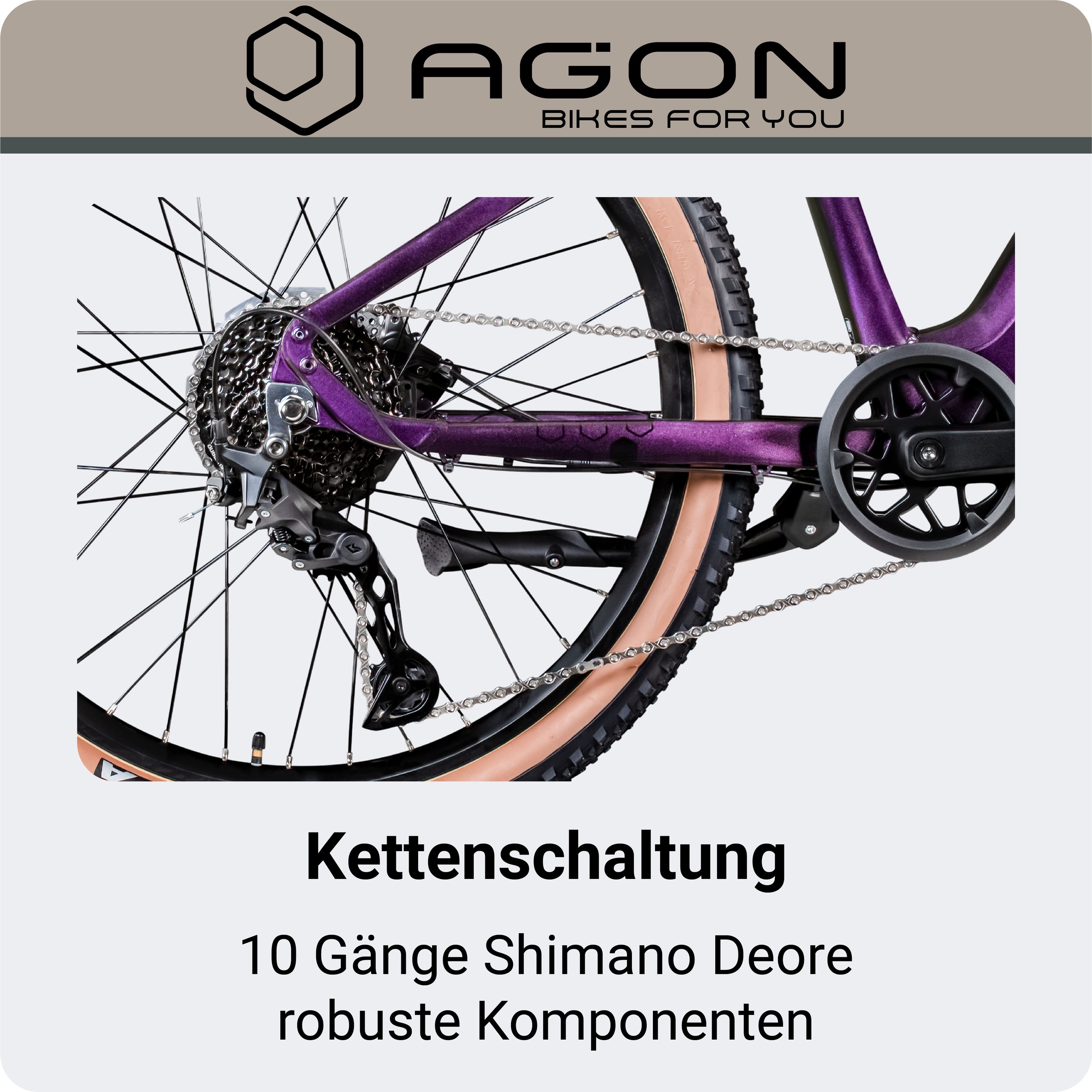 AGON »Alpha« 10 Gang Deore SGS T6000 Schaltwerk Kettenschaltung Heckmotor 250 W Pedelec, Elektrofahrrad für Damen u. Herren, MTB