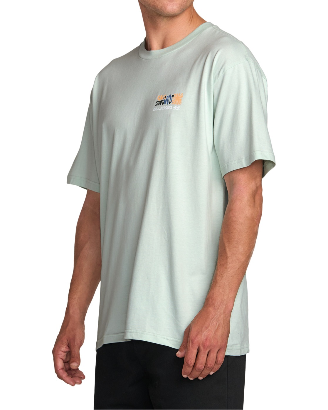 Billabong T-Shirt »Segment Regular«
