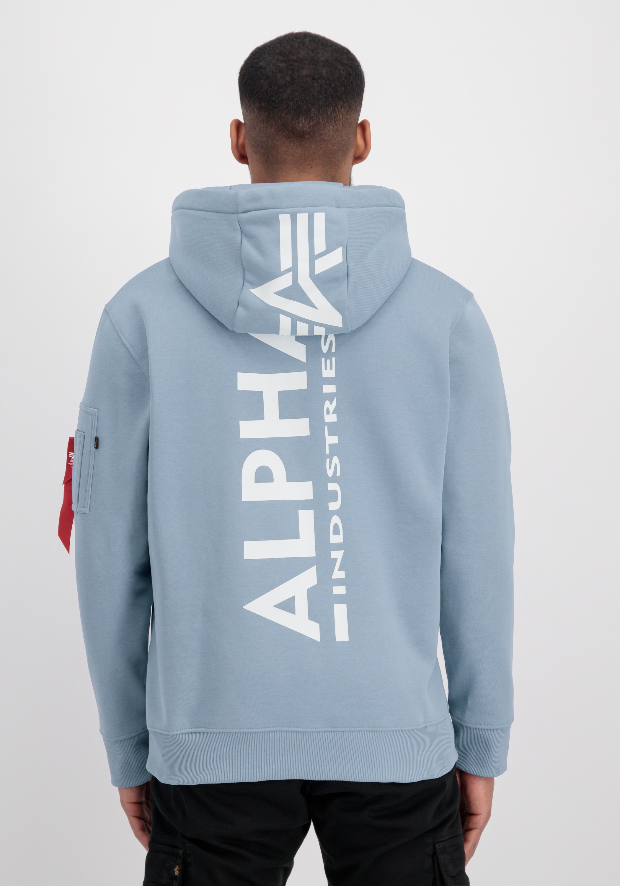 Alpha Industries Hoodie "Backprint Hoodie " günstig online kaufen
