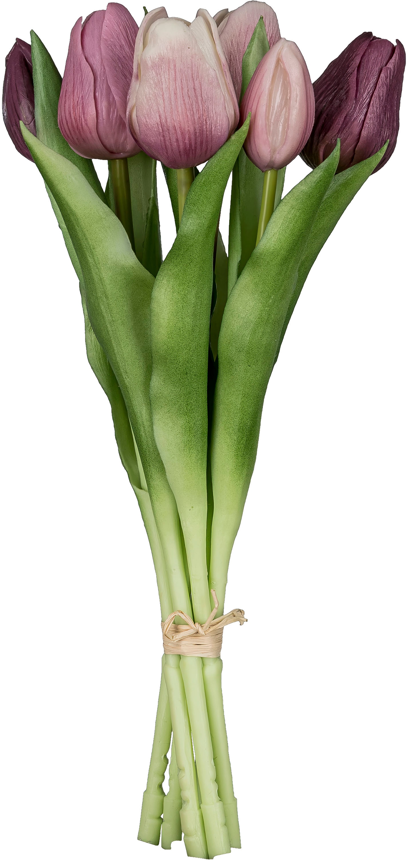 Creativ green Kunsttulpe »Tulpenbund« aus 6 Einzelstielen