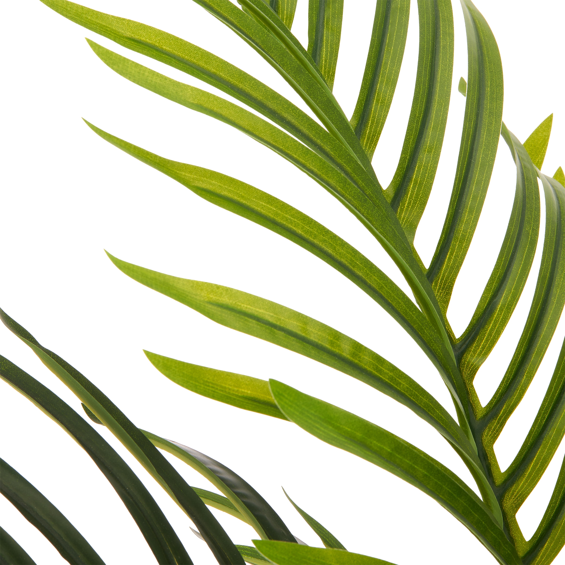 Creativ green Kunstpalme »Bambuspalme« mit naturgetreuen Palmwedeln