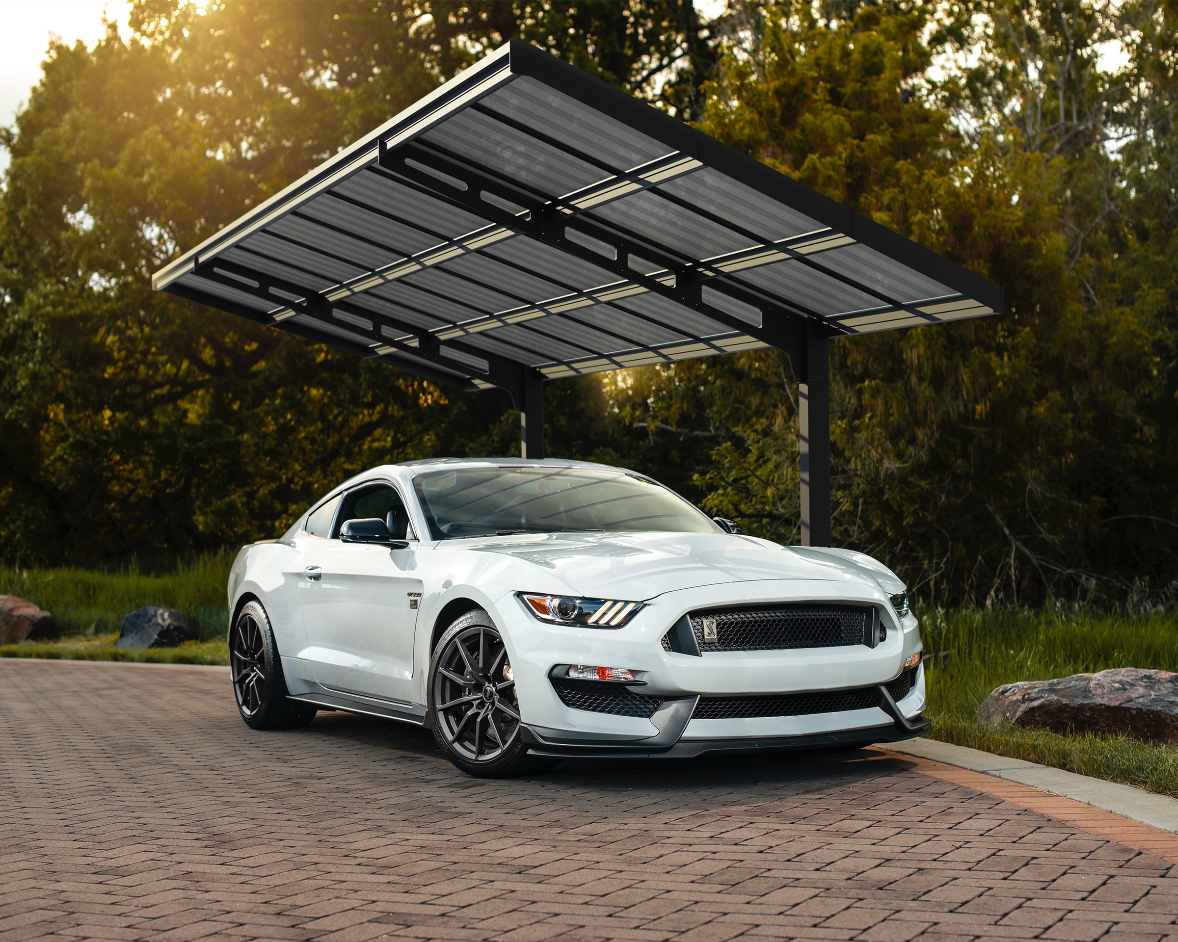 Einzelcarport, schwarz, PALRAM - CANOPIA, Carports, "Sydney", 100% UV-geschützt