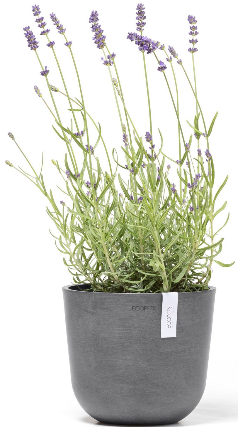 ECOPOTS Blumentopf »Oslo Mini 19 Grau« für den Innenbereich