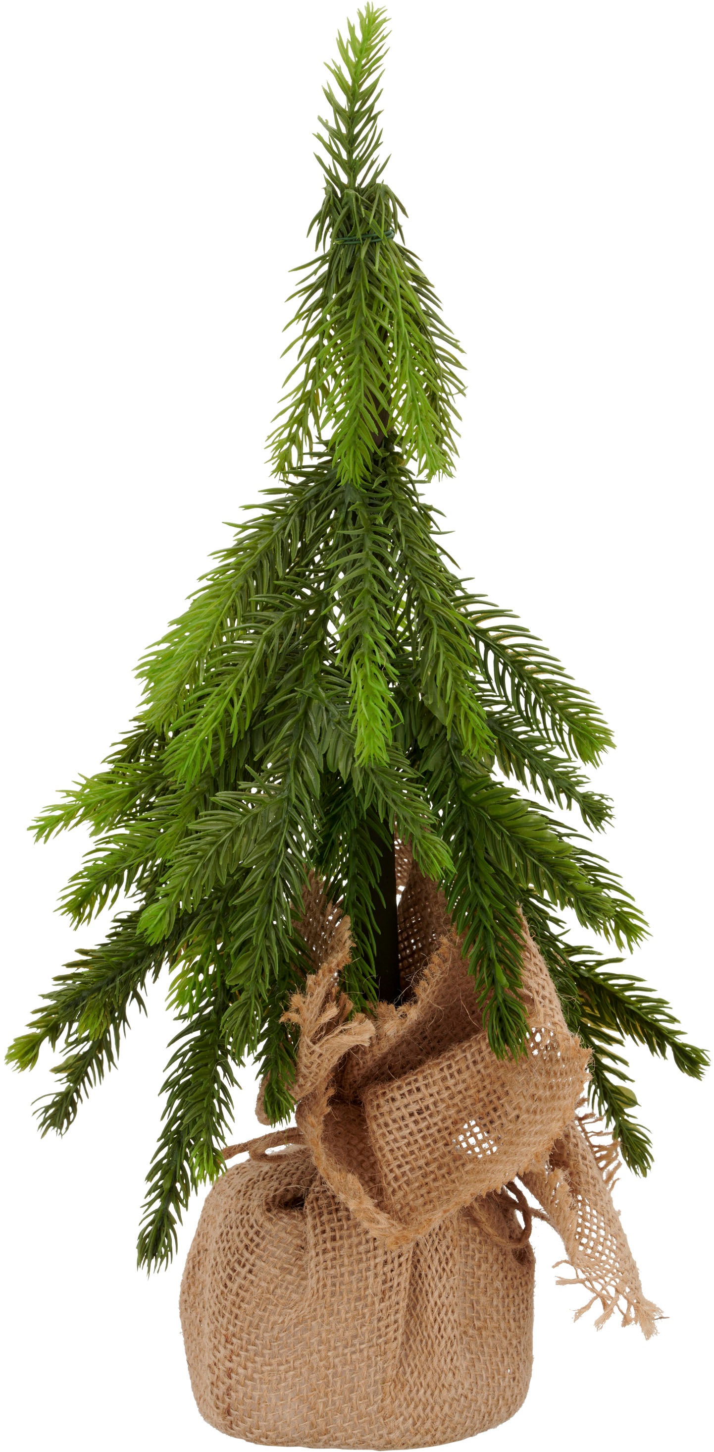 Creativ green Winterliche Kunstpflanze "Tannenbäumchen" im Set aus 2 Größen günstig online kaufen