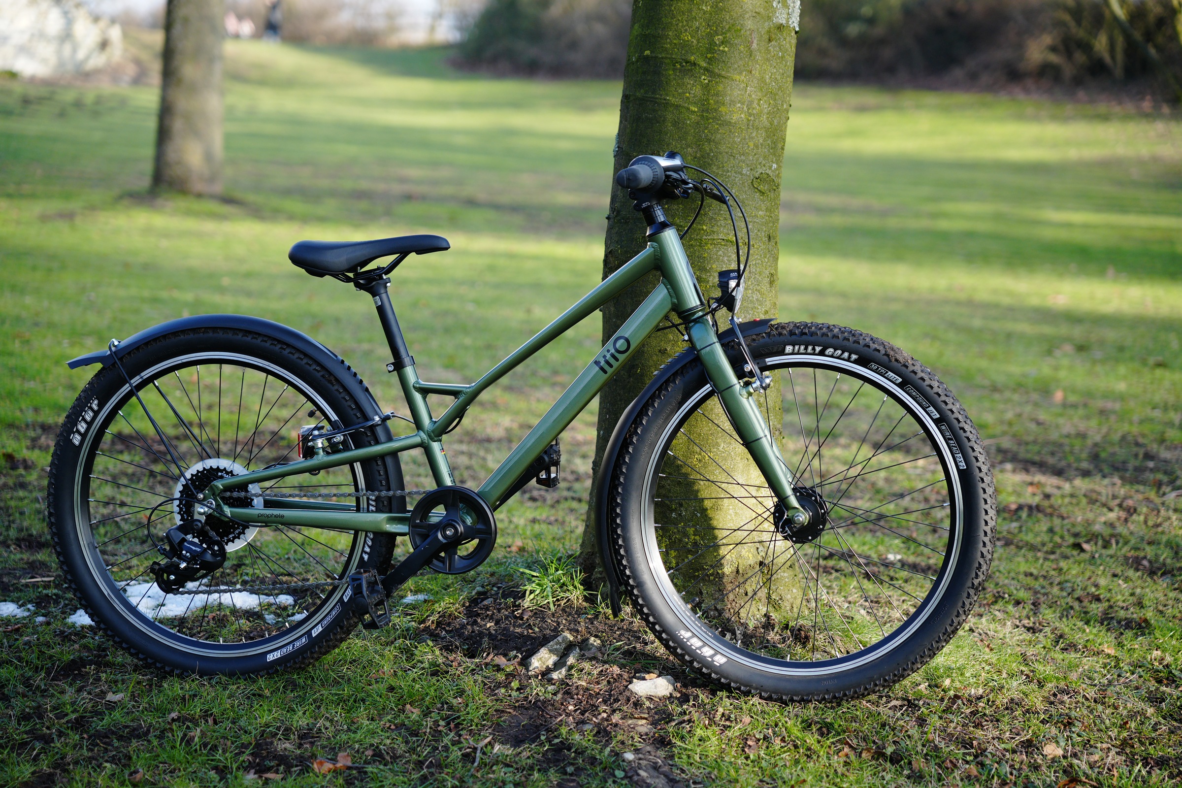 Prophete Kinderfahrrad »Prophete Trio 500« 8 Gang Shimano Tourney Schaltwerk Kettenschaltung