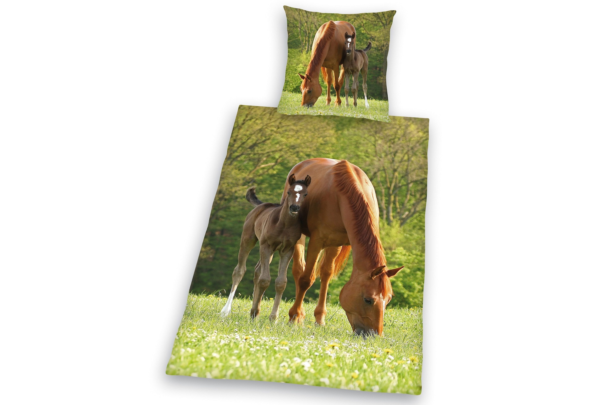 Herding Young Collection Kinderbettwäsche "Pferd mit Fohlen" 2 Stk. tlg. fü günstig online kaufen