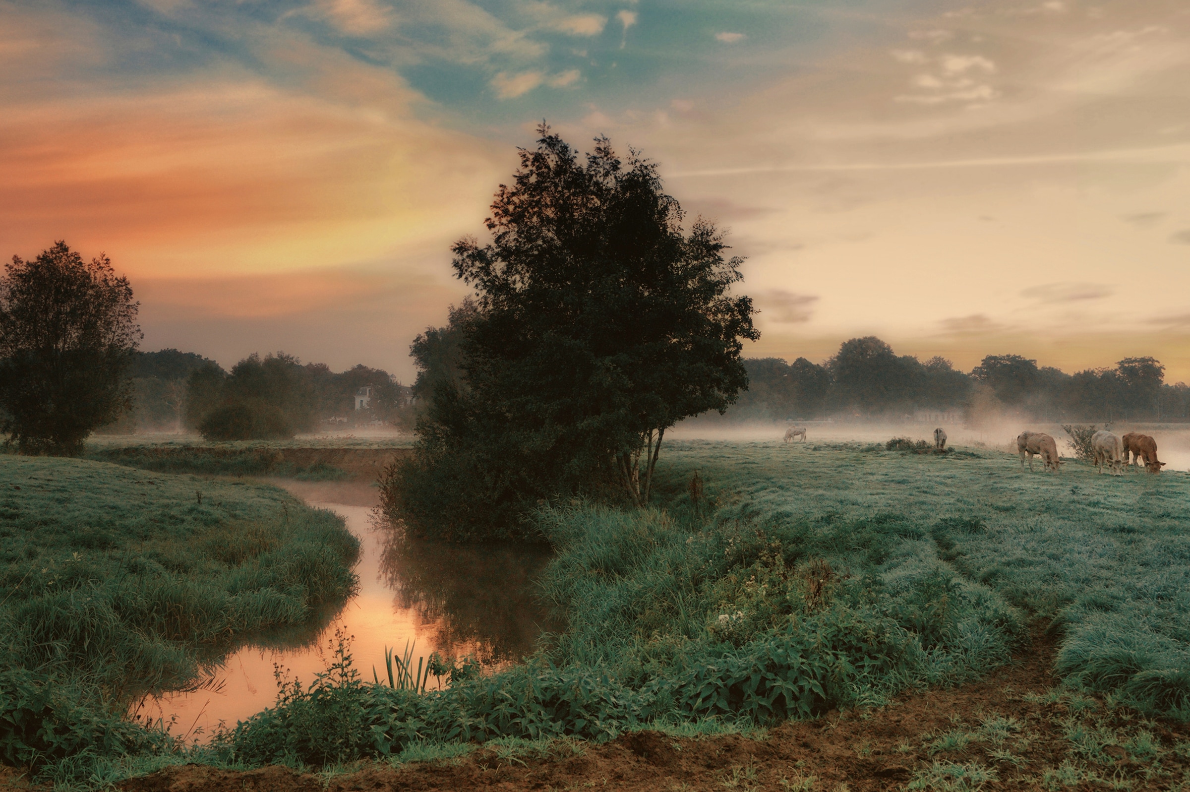 Papermoon "Photo-Art SASKIA DINGEMANS, NEBLIGER TRAUM"