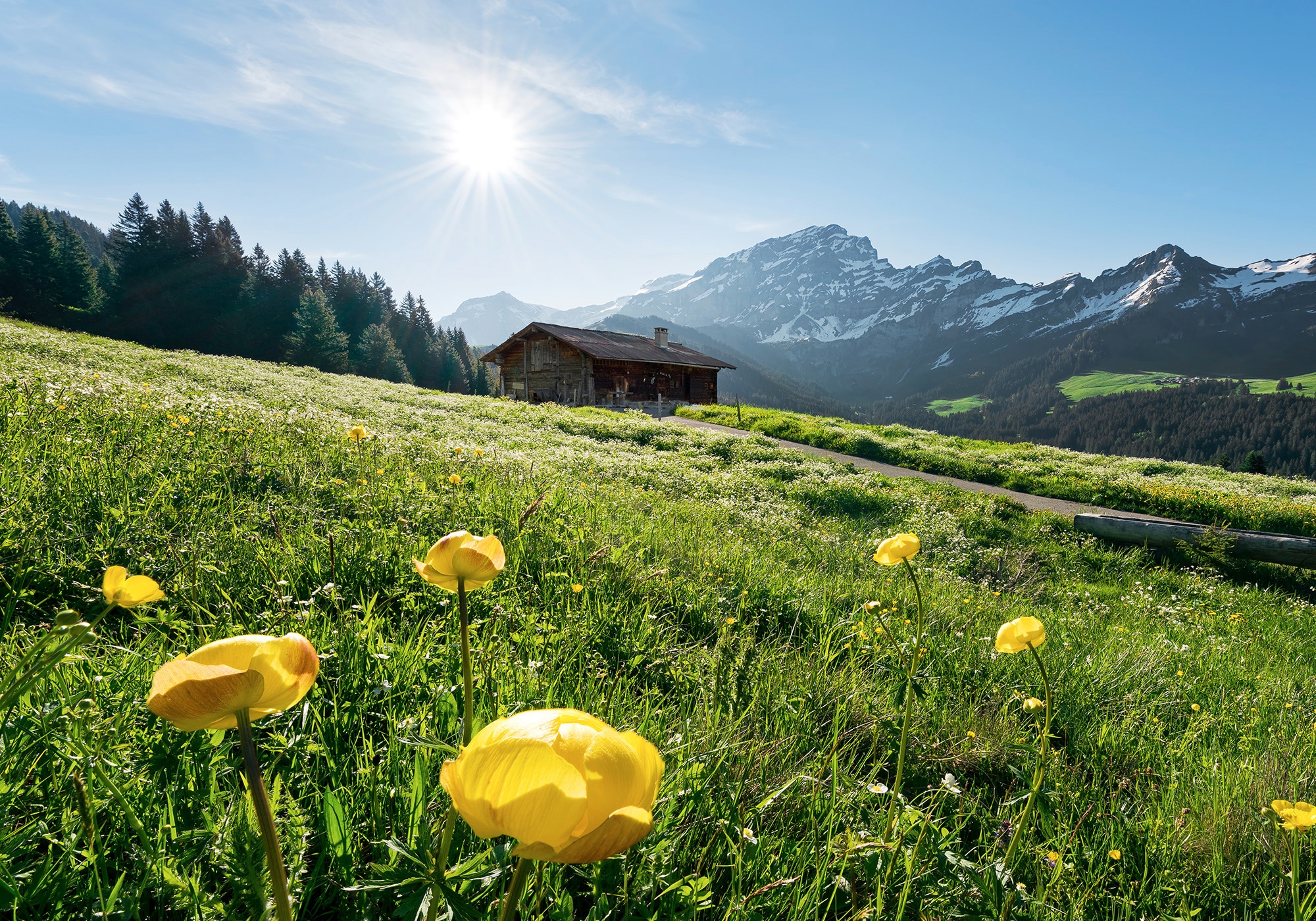 Komar Vliestapete "Alpenglück", 400x280 cm (Breite x Höhe), Wohnzimmer, Schlafzimmer