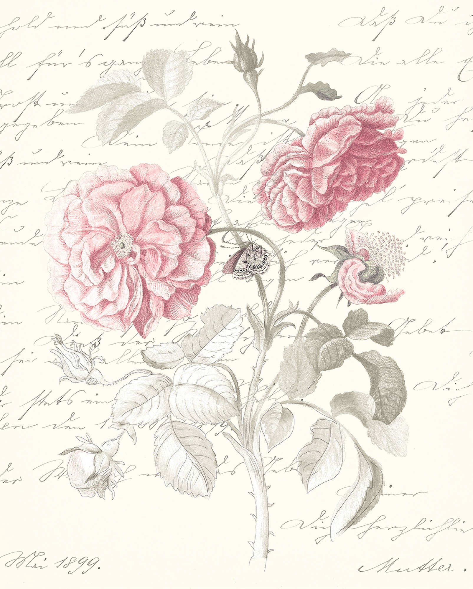 Komar Bild "Poème Rose" Natur 1 tlg. Wandbild zur Dekoration - ohne Rahmen günstig online kaufen