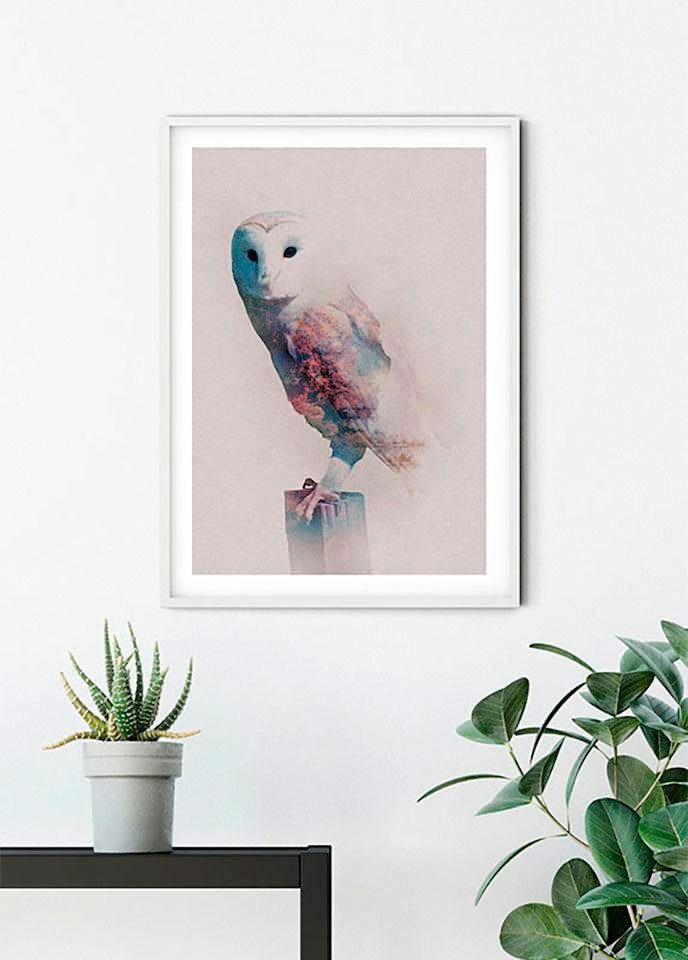 Komar Bild »Animals Forest Owl«, Tiere, (1 St.), Wandbild zur Dekoration - ohne Rahmen