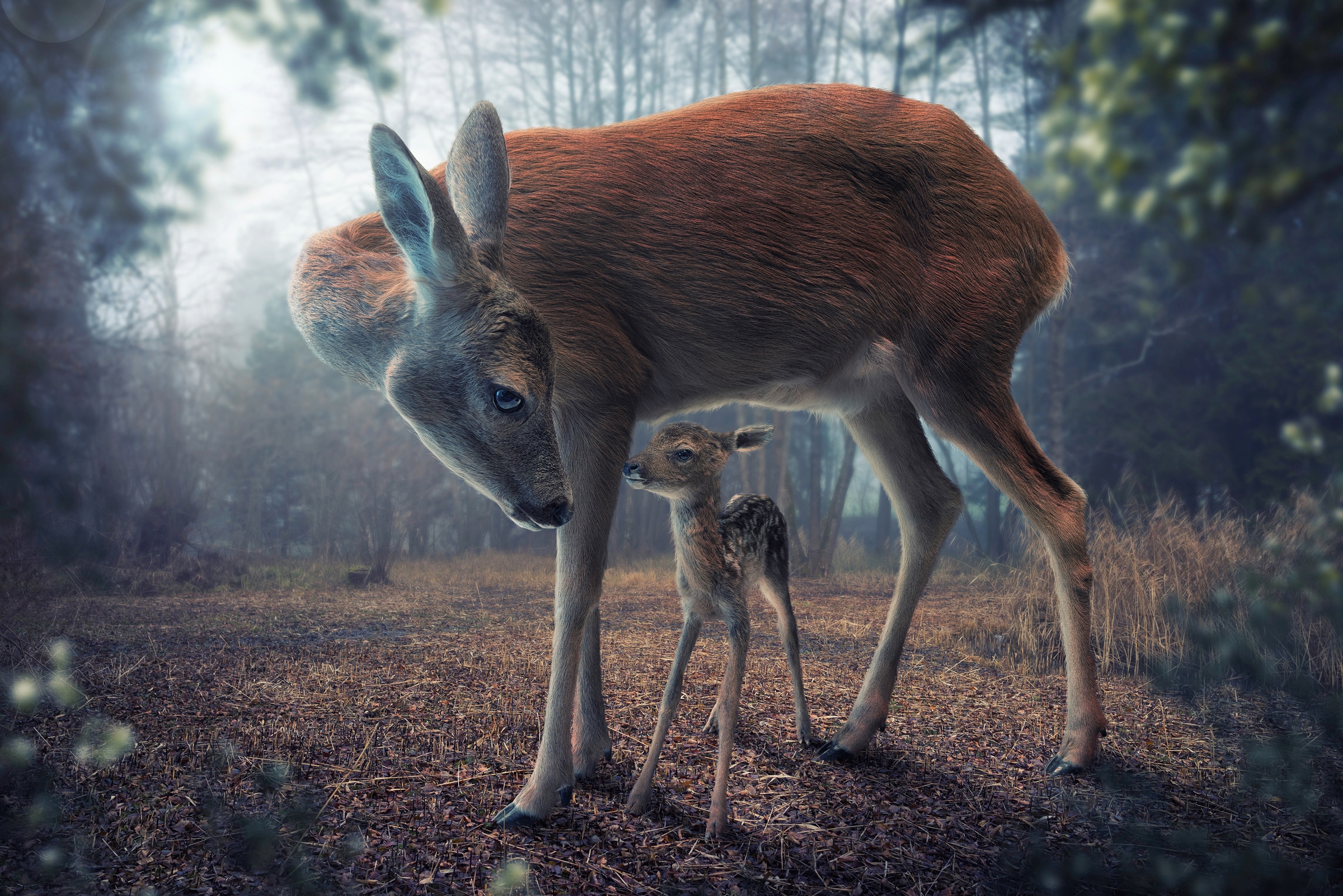 Papermoon Fototapete "Photo-Art JOHN WILHELM, MUTTER UND KITZ"