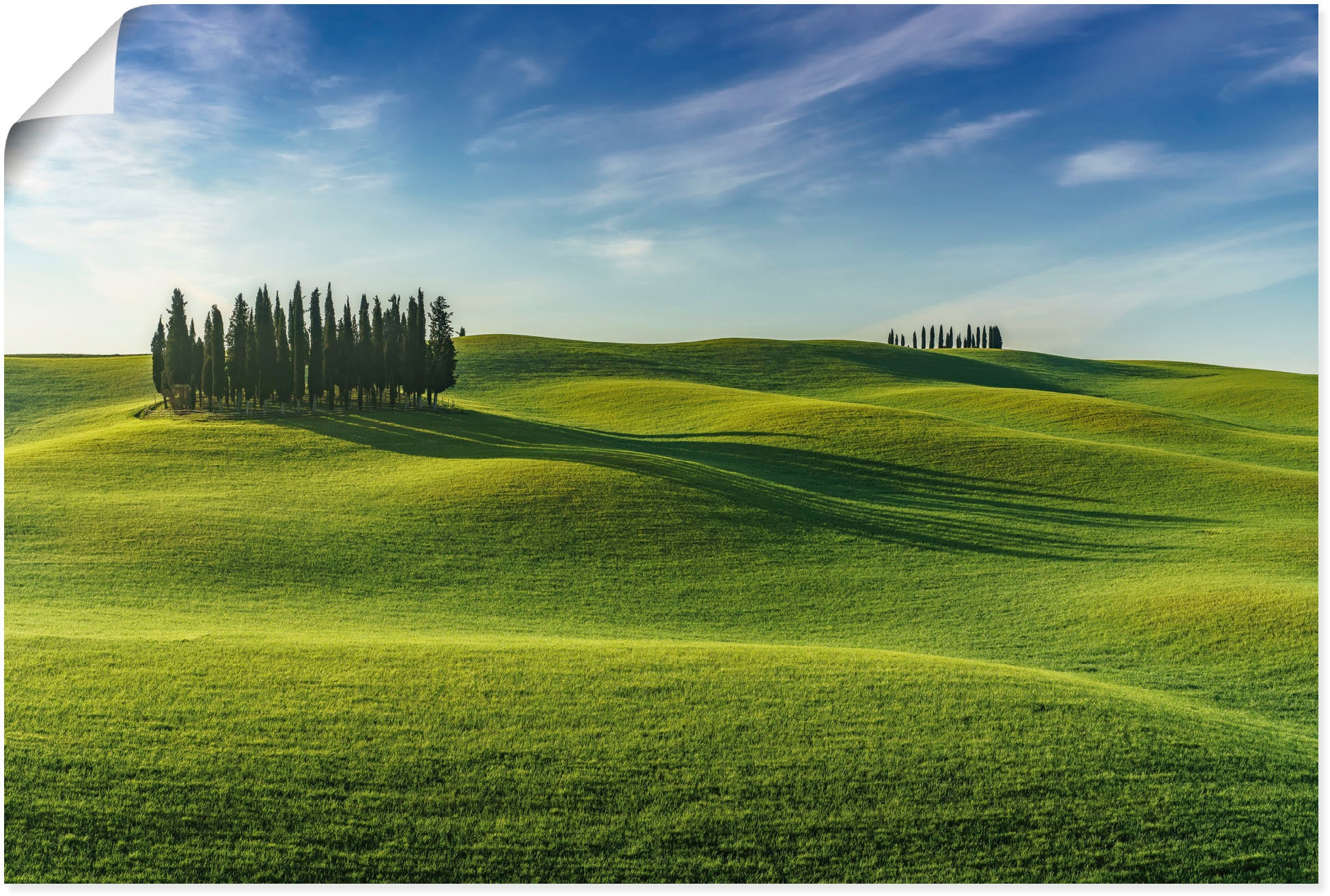 Artland Poster "Val dOrcia Toskana Italien", Wiesen & Baumbilder, (1 St.), günstig online kaufen