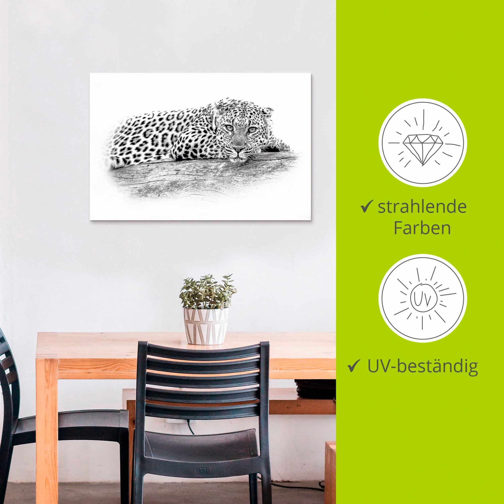 Artland Wandbild »Leopard High Key Optik«, Wildtiere, (1 St.), als Alubild, Leinwandbild, Wandaufkleber oder Poster in versch. Größen