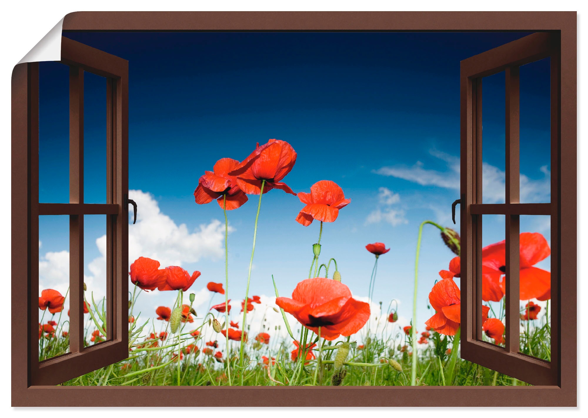 Größen Leinwandbild, »Fensterblick kaufen St.), versch. Poster als (1 mit Feld BAUR Wandaufkleber Wandbild oder in Fensterblick, | Artland Mohnblumen«,