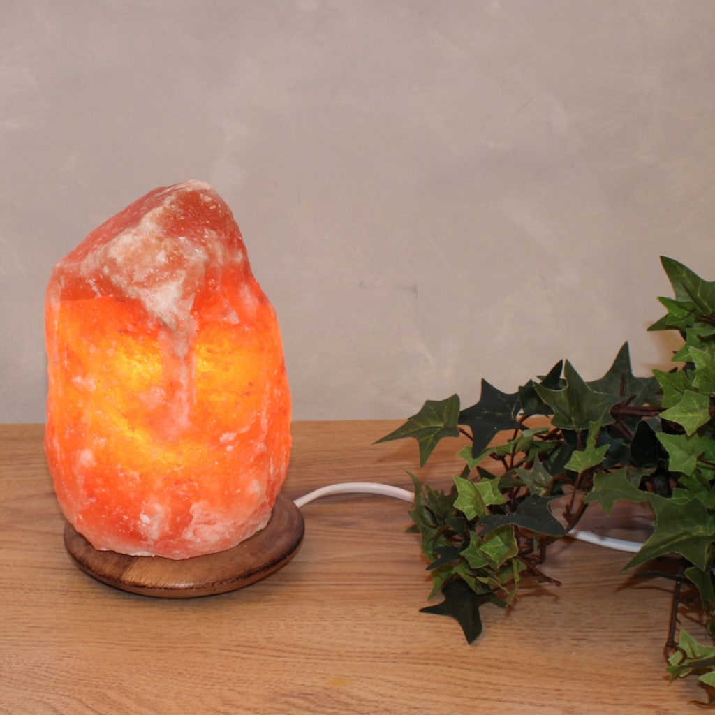 HIMALAYA SALT DREAMS Salzkristall-Tischlampe »USB-Rock«