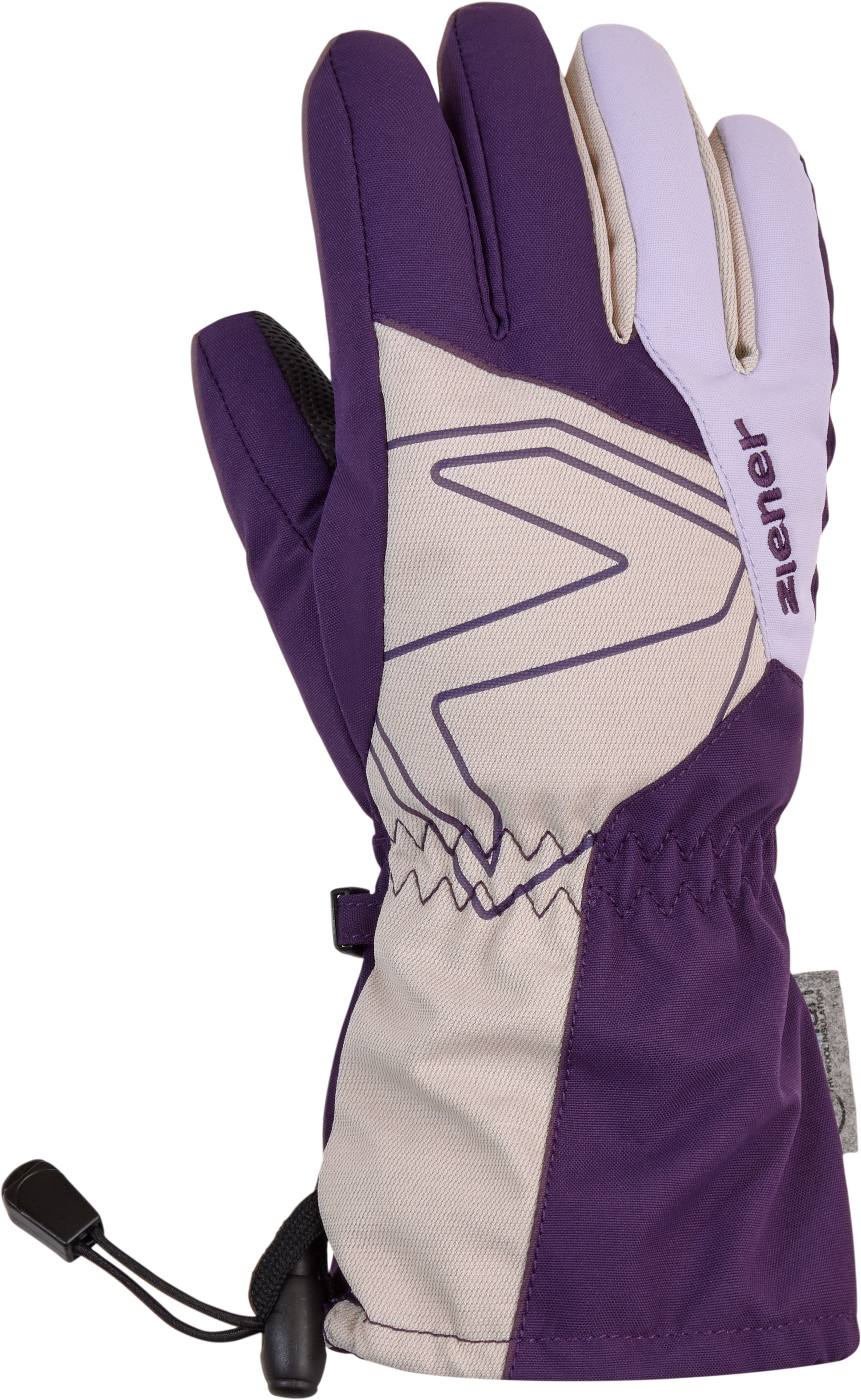 Ziener Skihandschuhe "LAVAL AS(R) AW" günstig online kaufen